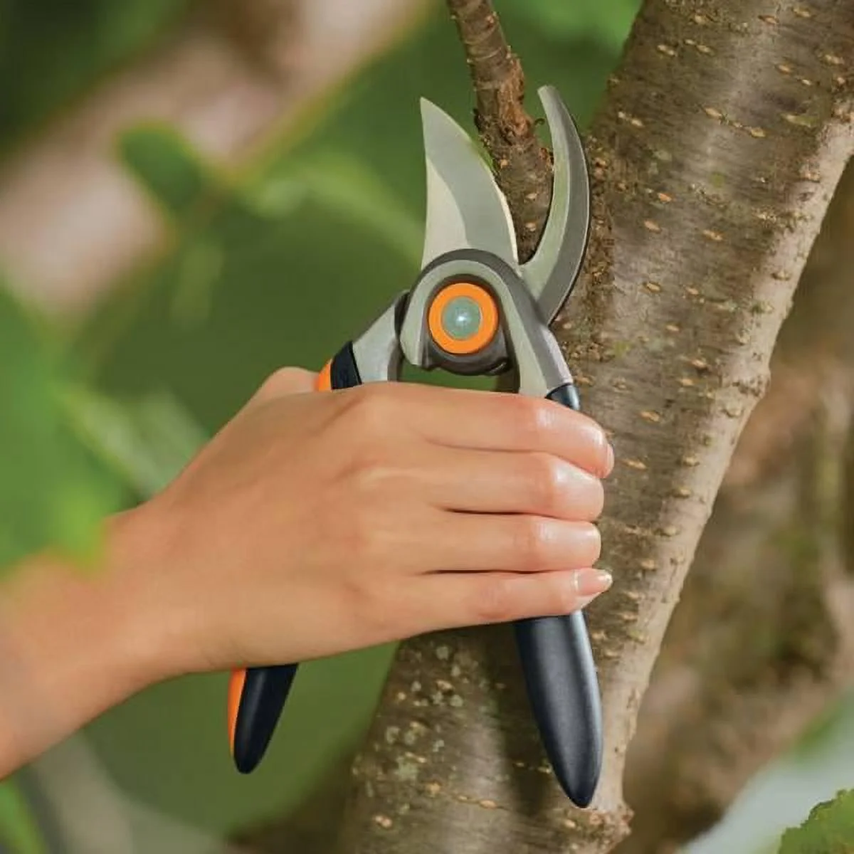 Fiskars Forged Bypass Pruner With Replaceable Blade
