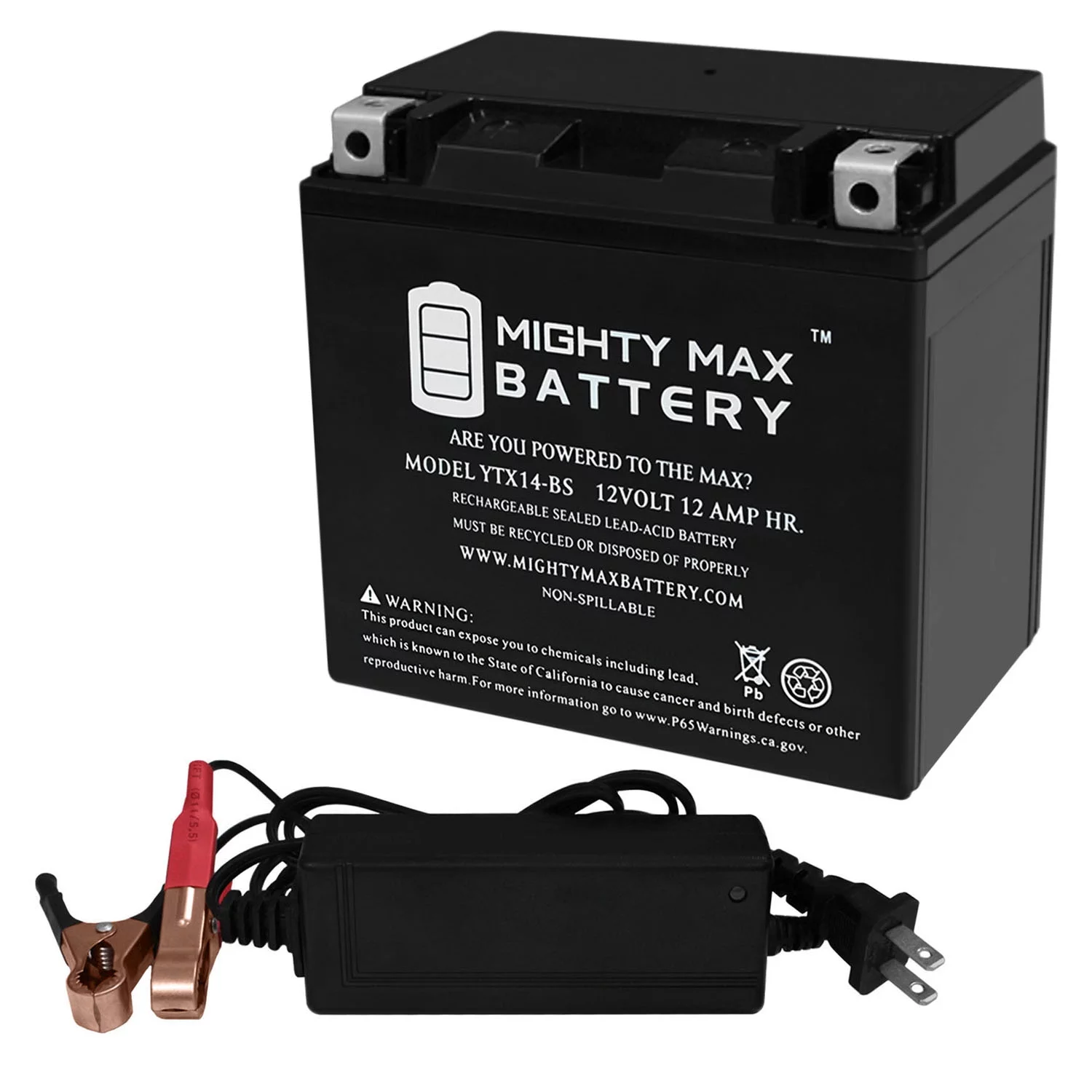 YTX14-BS 12V 12AH Battery for Honda Trax Foreman + 12V 2Amp Charger