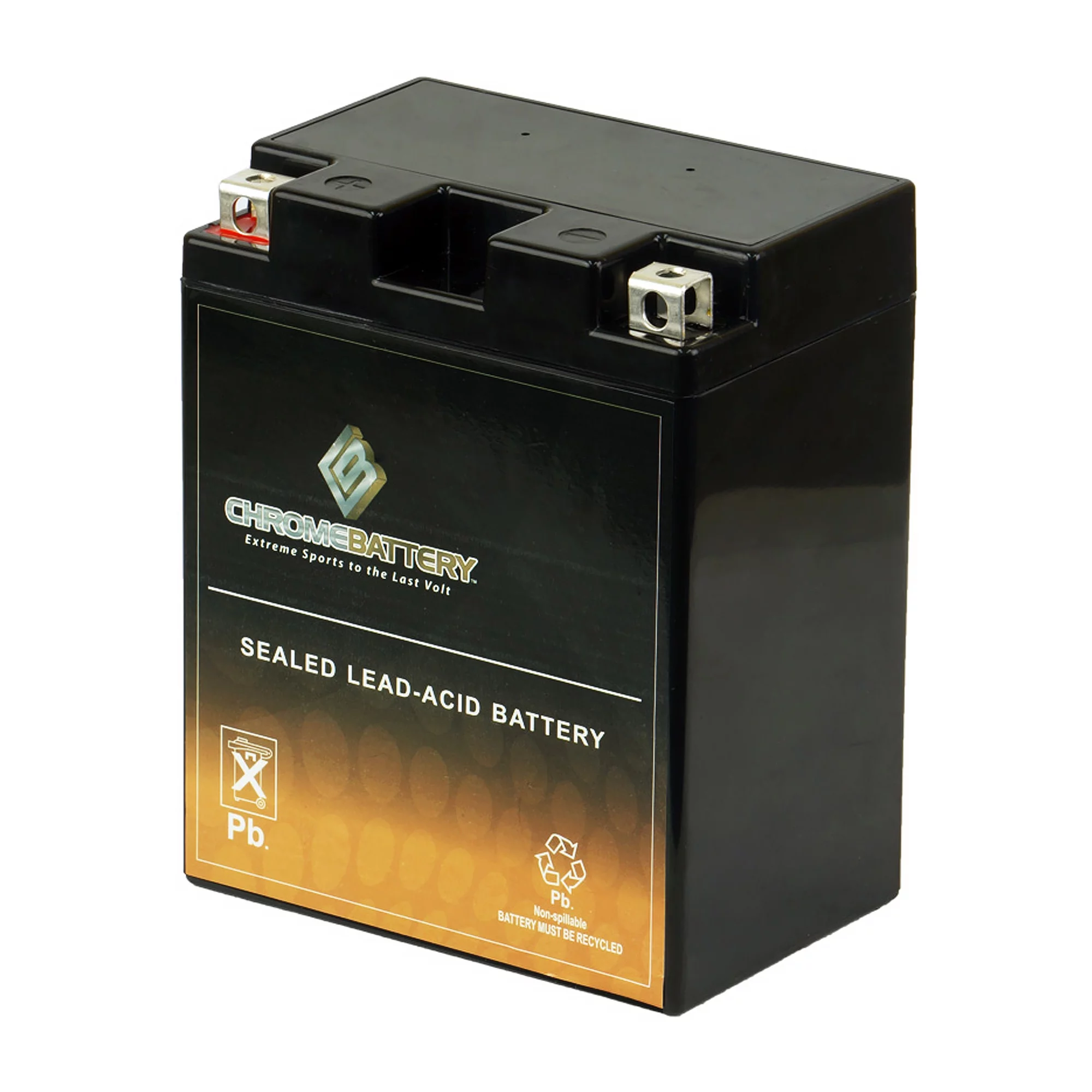 Chrome Battery YTX14AH-BS (14AH-BS 12 Volt,12 Ah, 210 CCA) Atv Battery for Polaris 250cc 2005