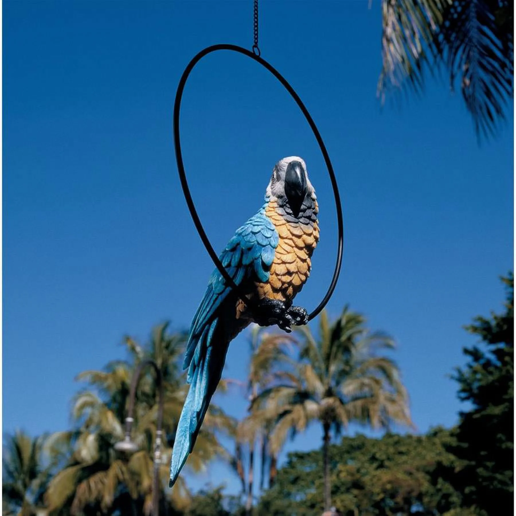 Design Toscano  Polly in Paradise Parrot on Ring Perch: Large, Set of Two