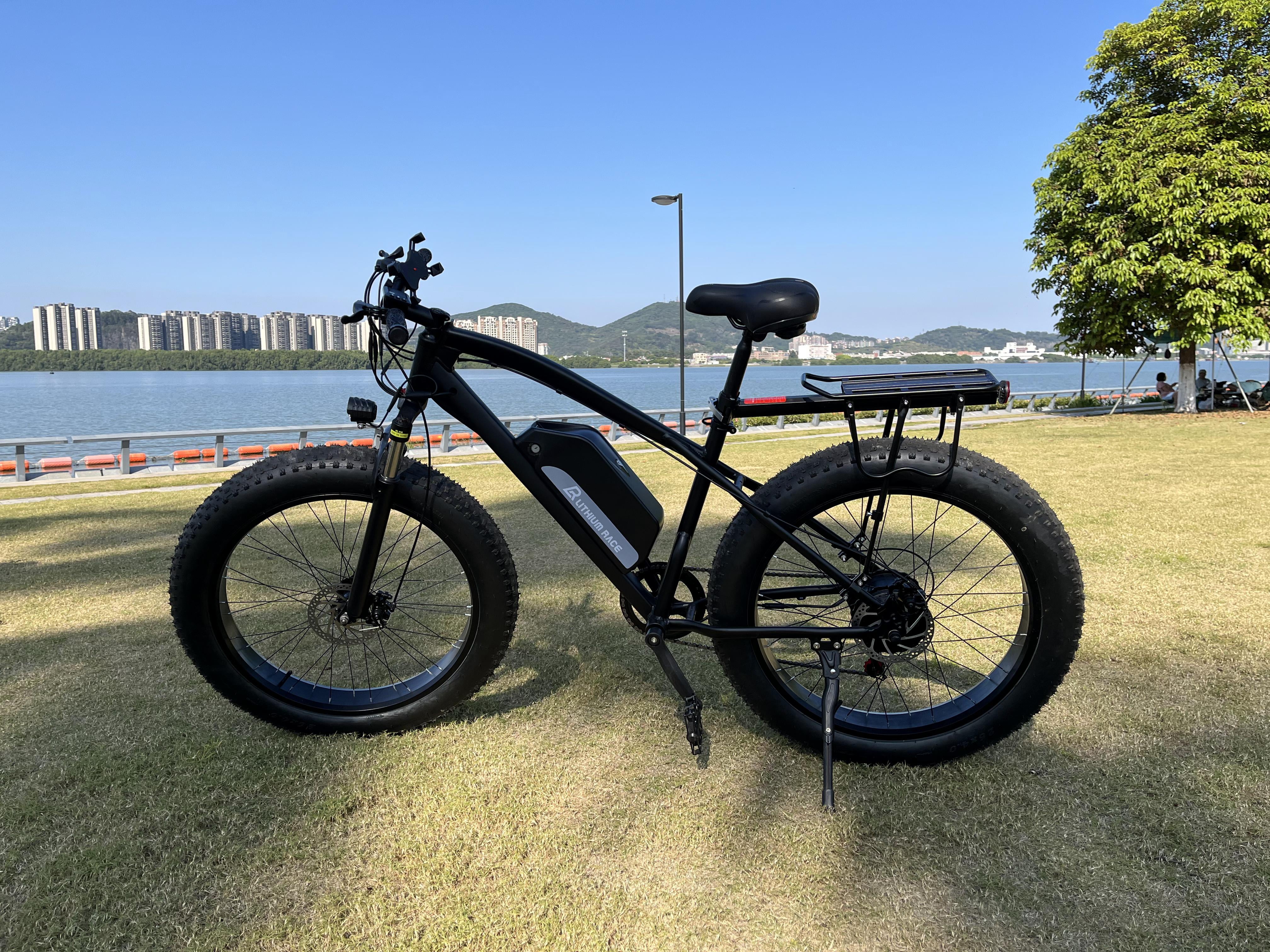 Chepei 26inch 750W 48V13.2AH Snow Electric Bicycle Fat Tire Mountian E-Bike off-road Electric Bicycles,(Adult)