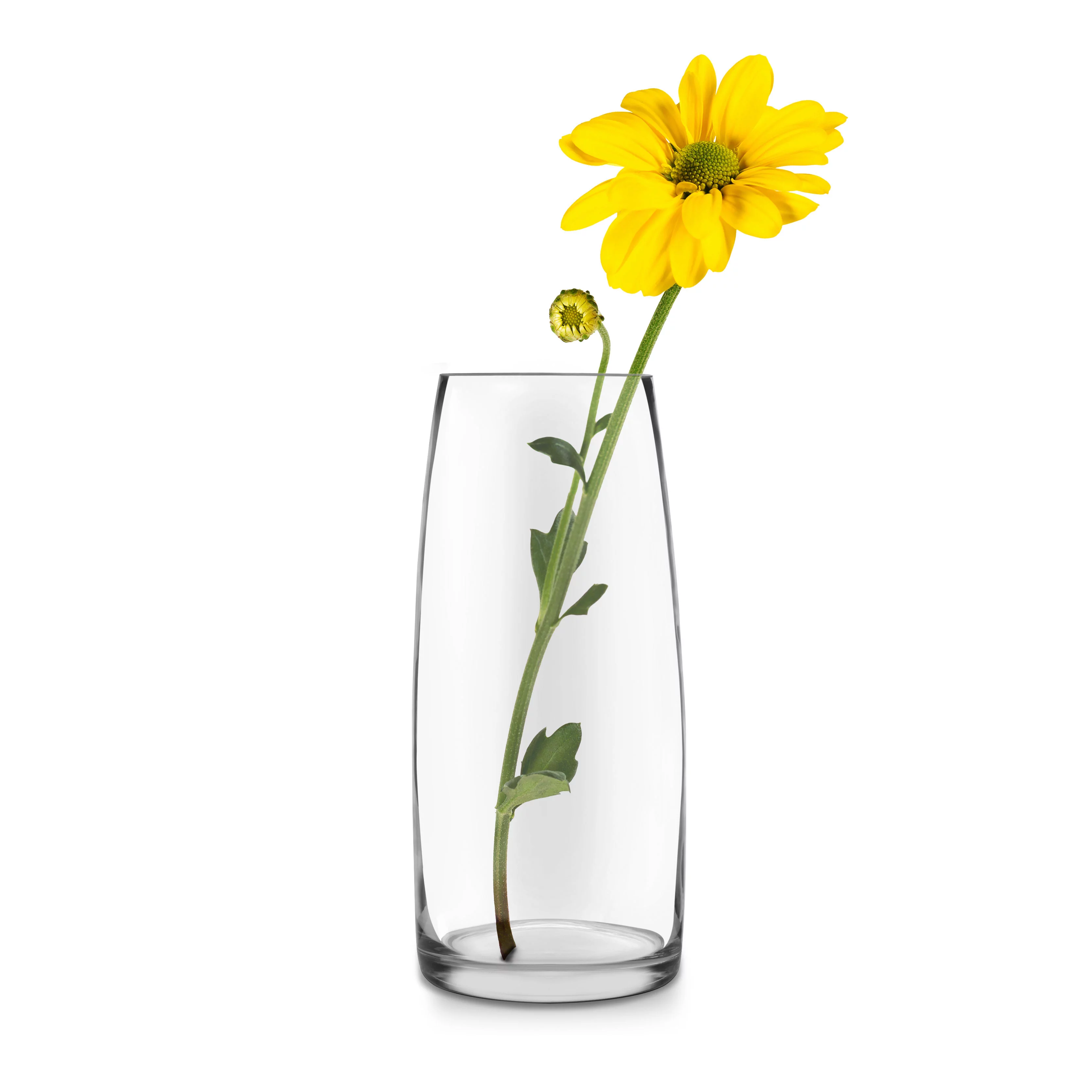 Libbey Poppy Glass Vase, 12-inch, Set of 2