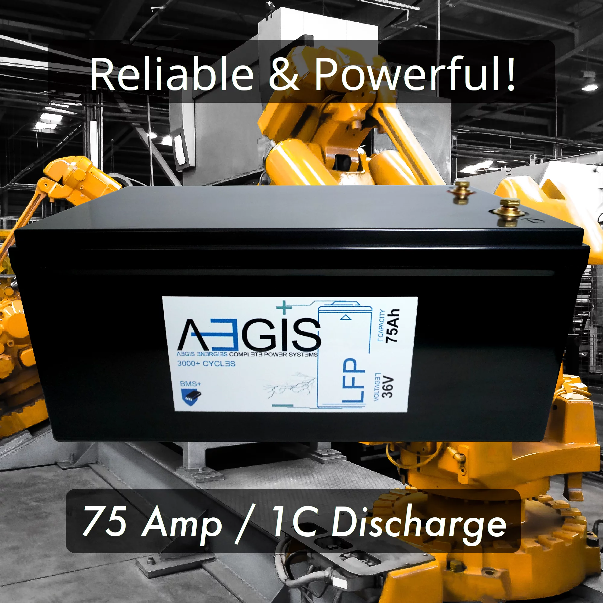 Lithium Master 36v 75ah LiFEPO4 Deep Cycle Battery