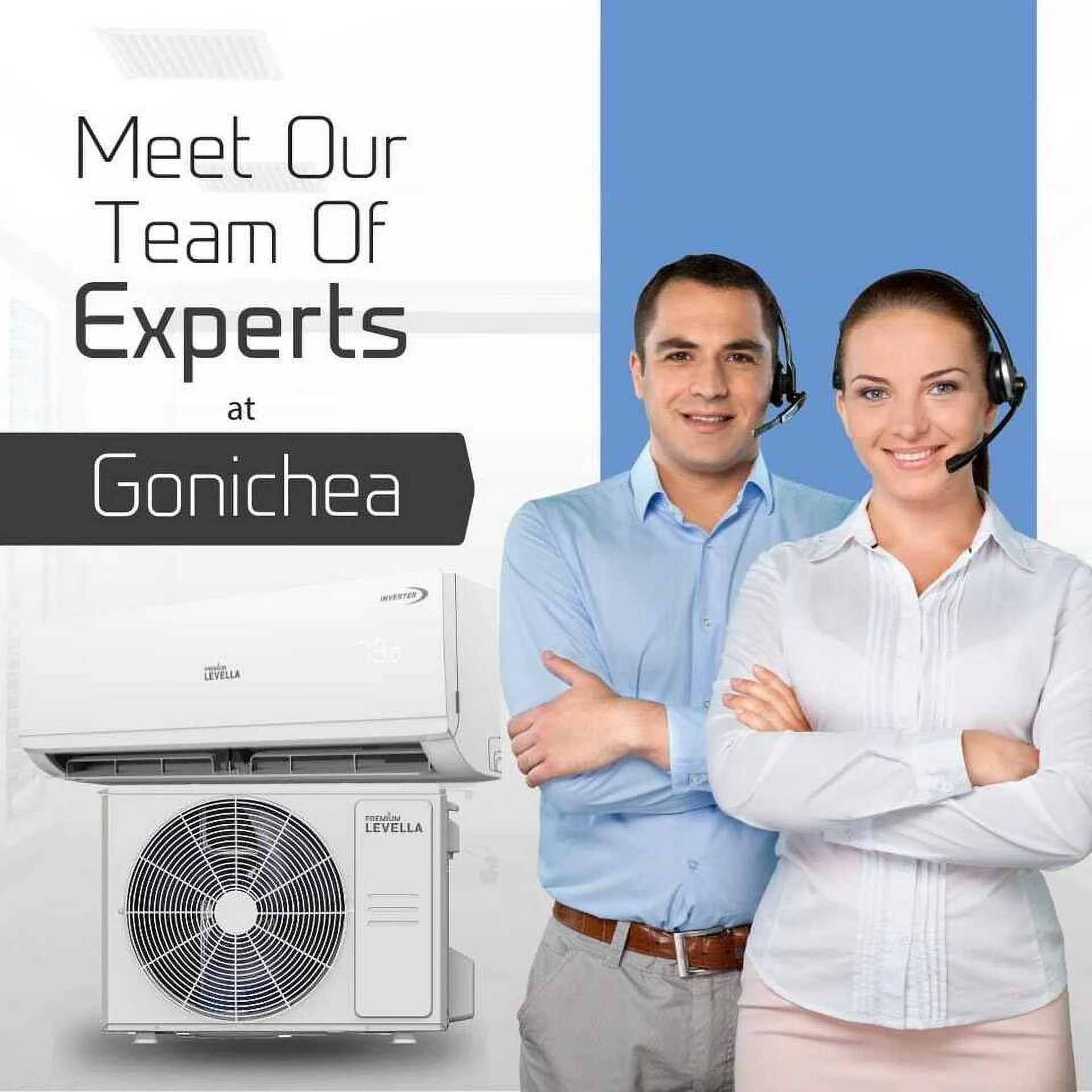 Dual Zone 21 SEER2 Ductless Mini Split Air Conditioner Inverter Wifi Heat Pump 220V