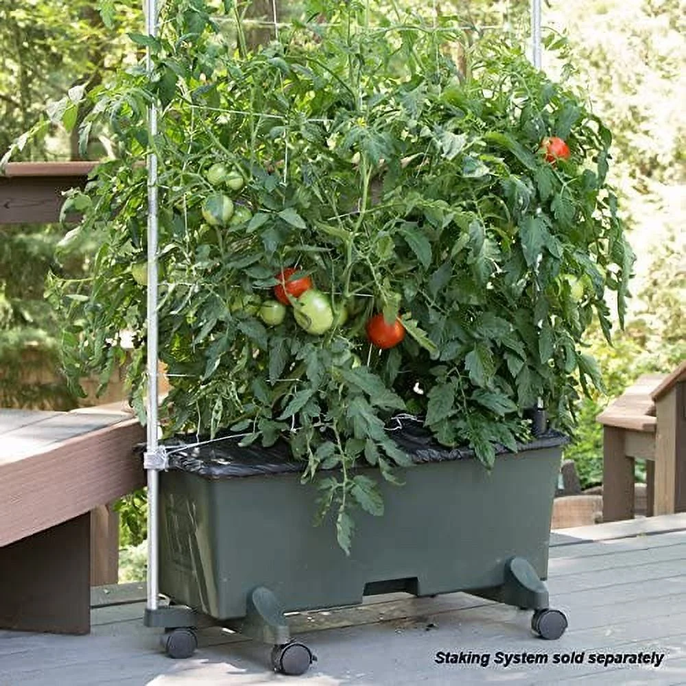 EarthBox Container Gardening System - Green