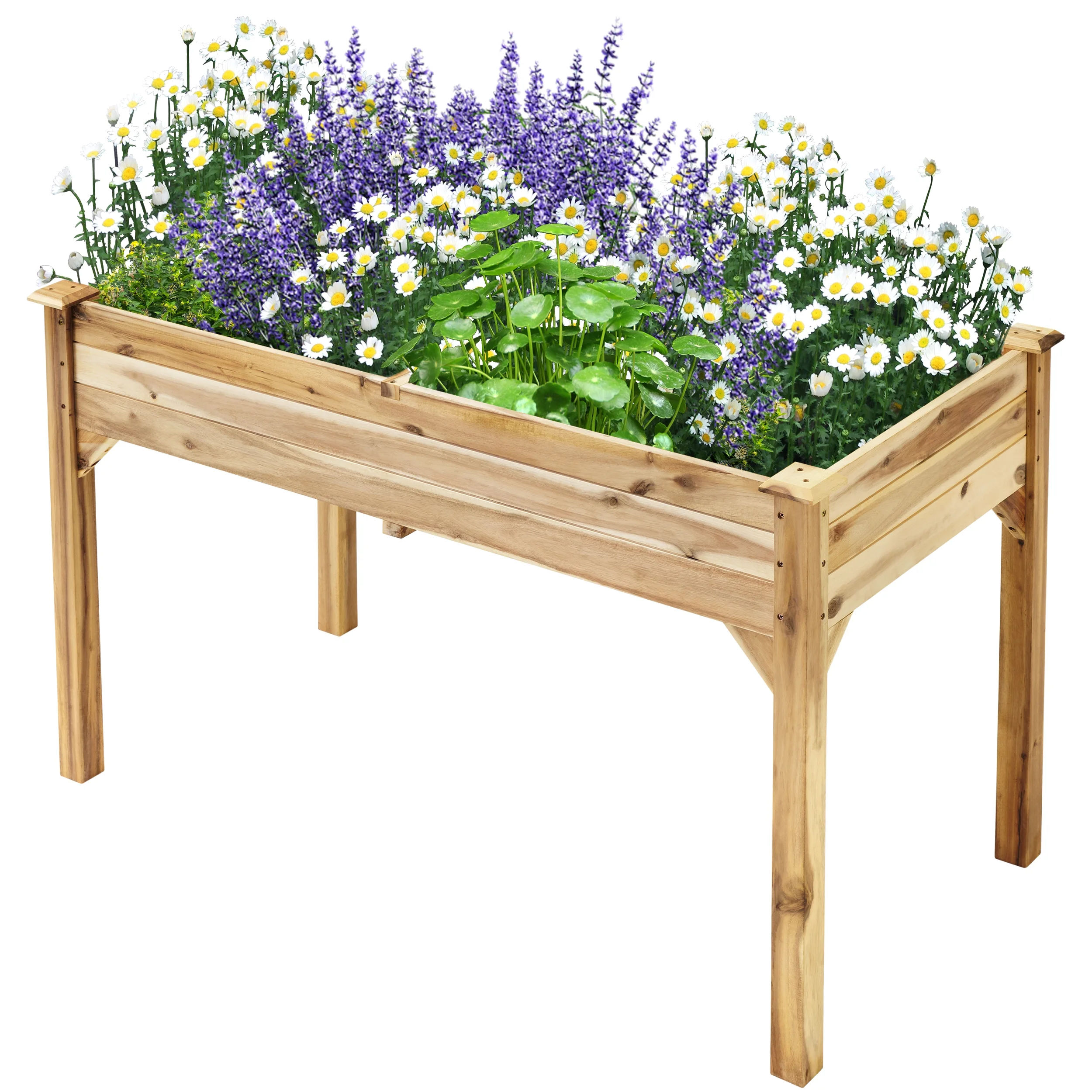 TrumanPick Raised Garden Bed 48x24x30in Elevated  Wood Planter Box for Vegetables Flowers Herb