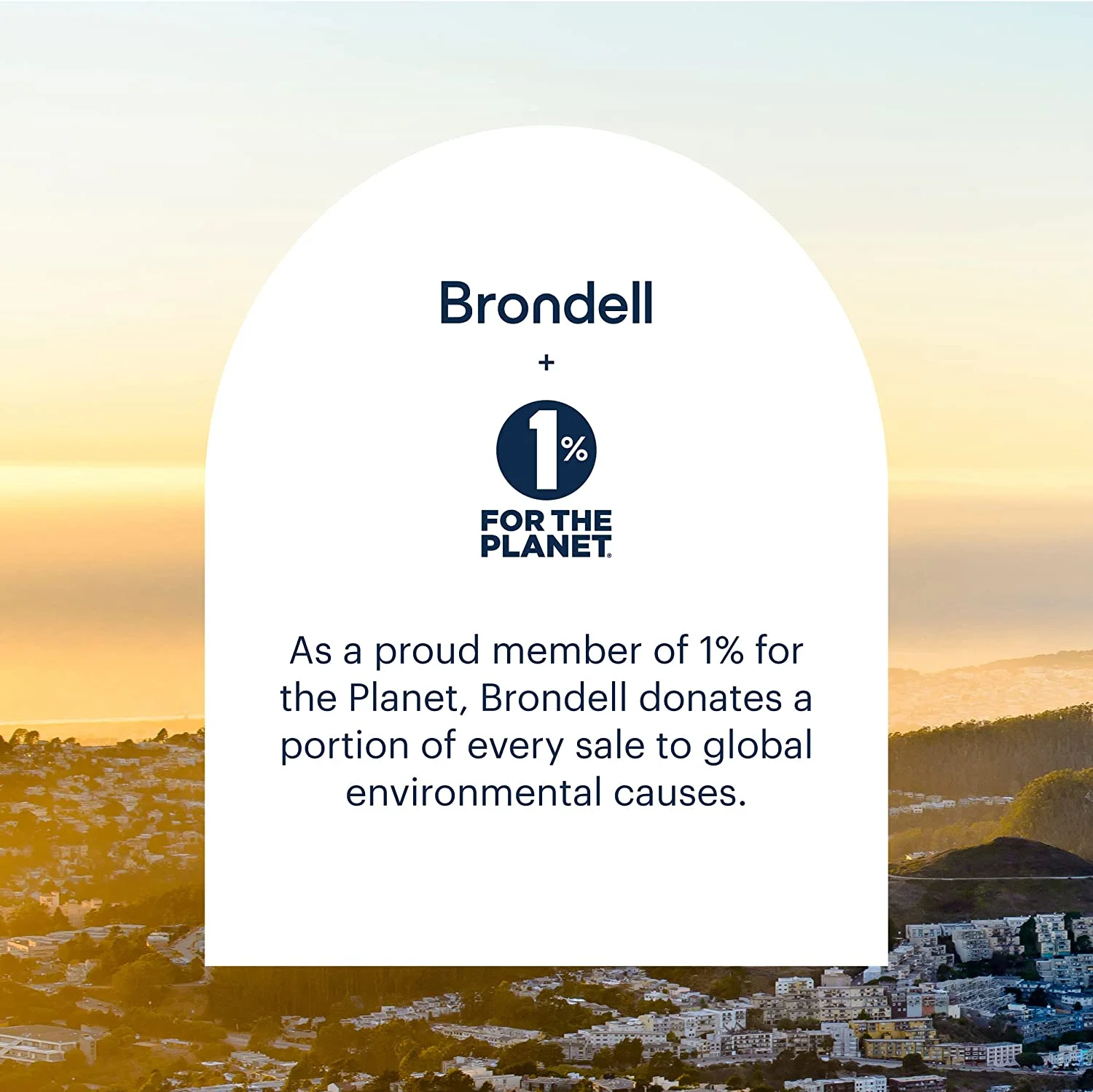 Brondell Bidet Toilet Seat, Elongated, Dual Temperature/Nozzle, S102-EW - White