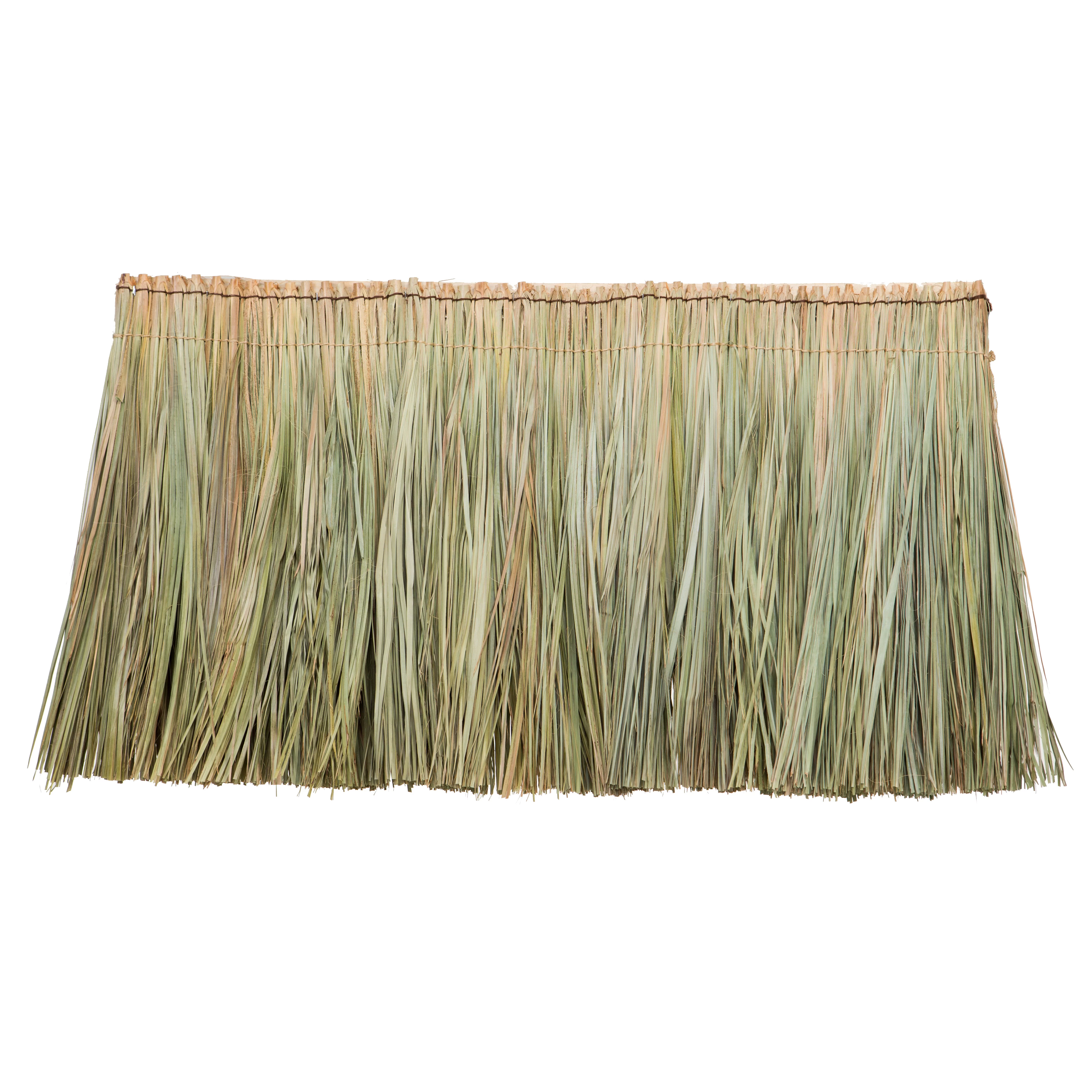 Backyard X-Scapes 24