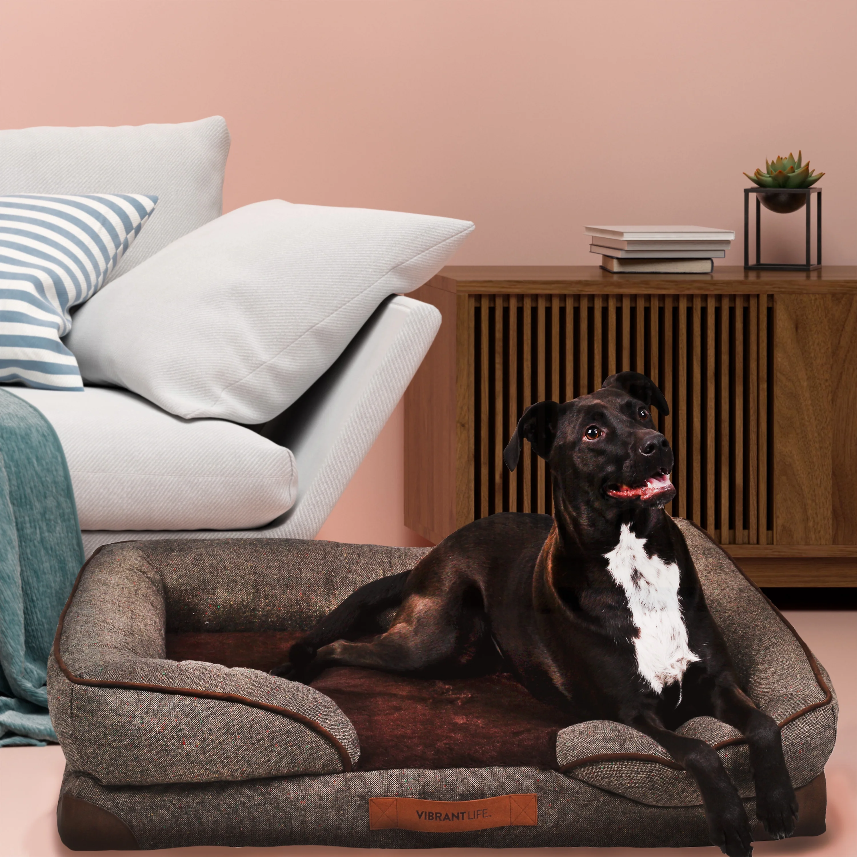 Vibrant Life Large Orthopedic Sofa-Style Dog Bed, Bed with Bolsters, Brown