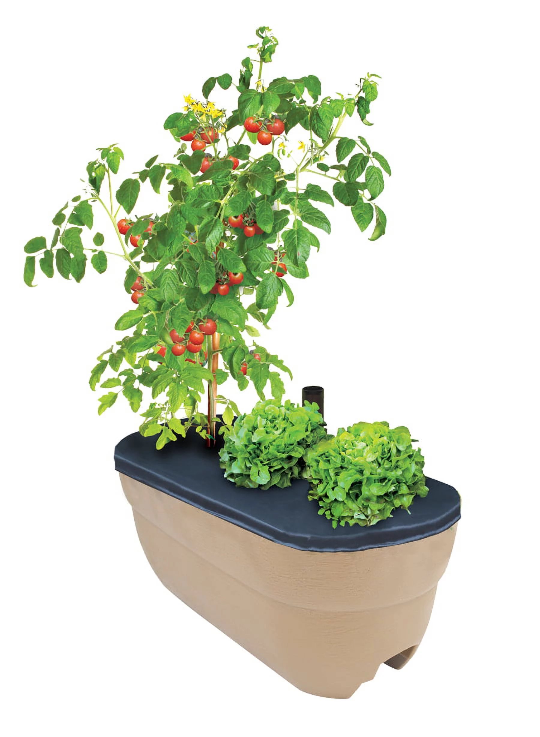 Bloomers Self-Watering Rail Planter Grow Box – 24