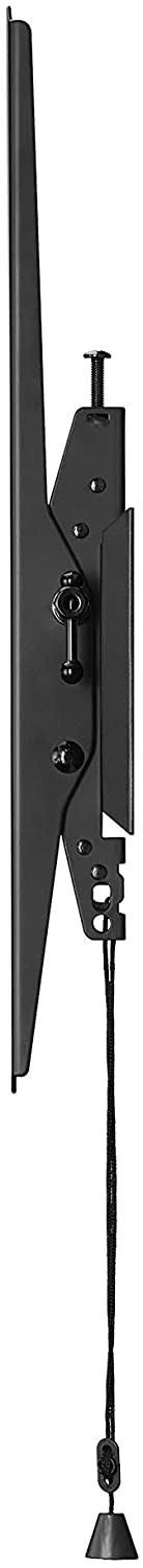 Sony XR77A80K 77-in 4K Bravia XR OLED HDR Smart TV and Walts TV Tilt Mount and Screen Cleaner (2022)