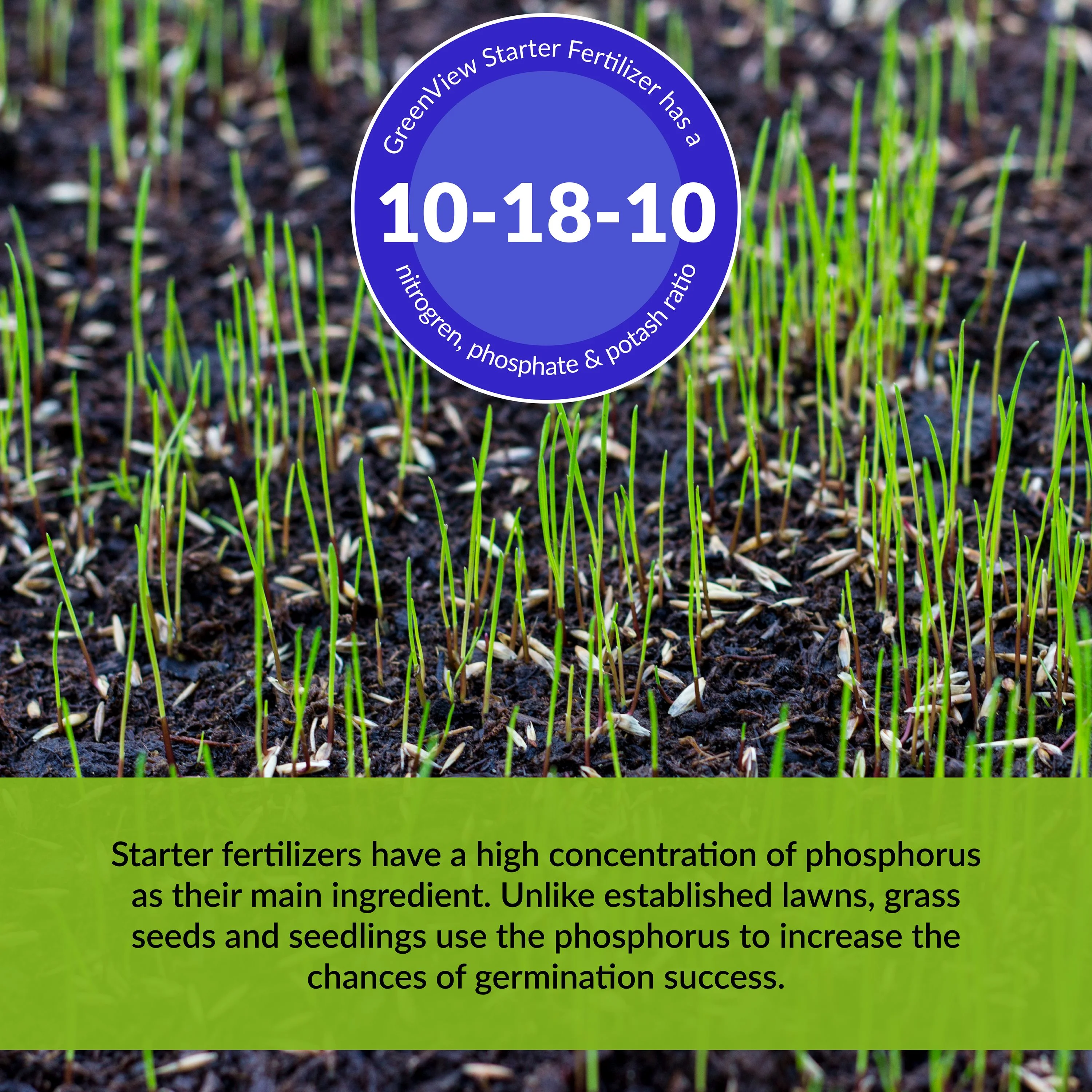 GreenView Starter Fertilizer - 16 lb. - Covers 5,000 Sq. ft.