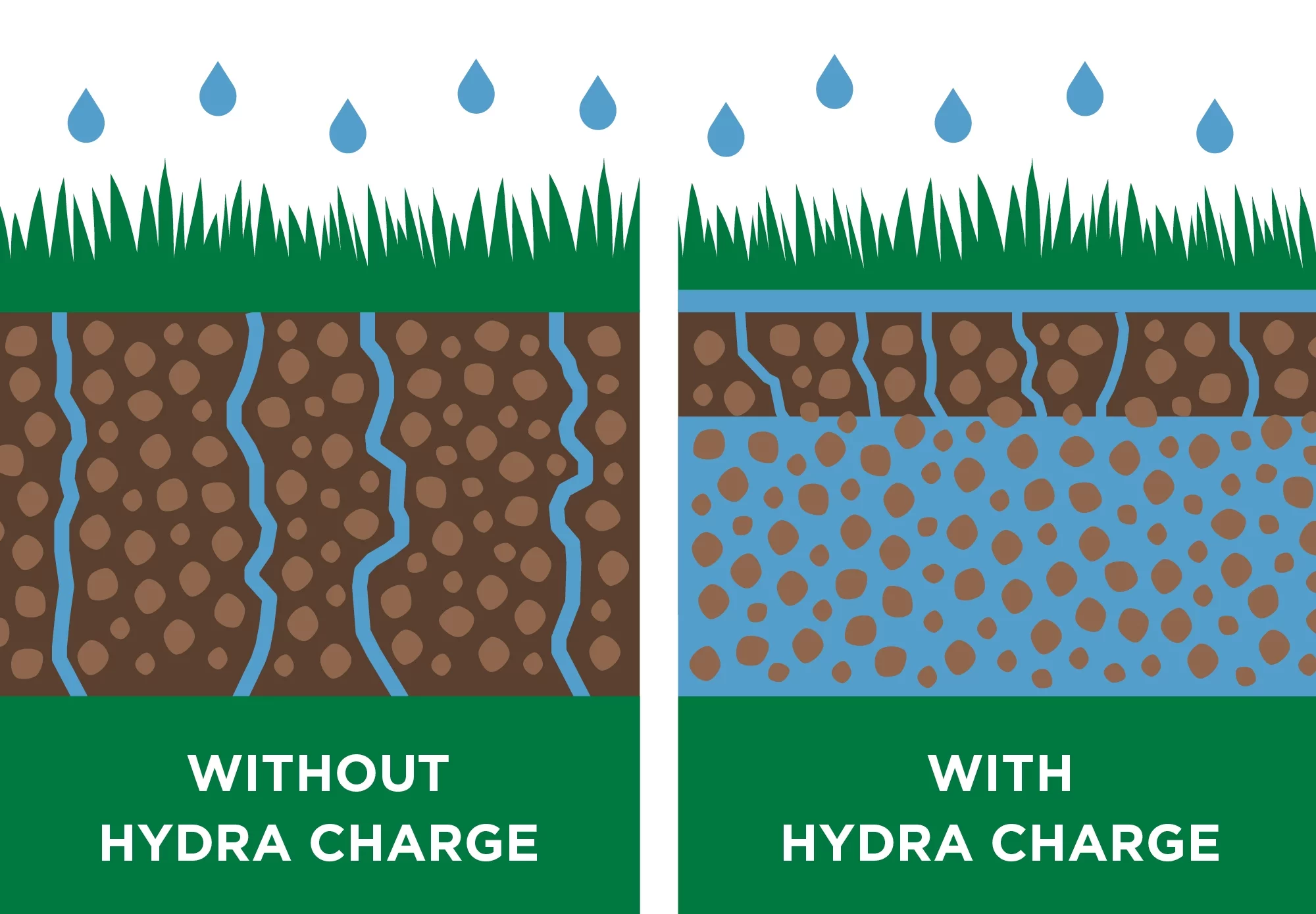 The Andersons Hydra Charge™ Biosolid Fertilizer Plus Surfactant 4-2-0 (40 lb. Bag) - Covers up to 5,000 Sqft.