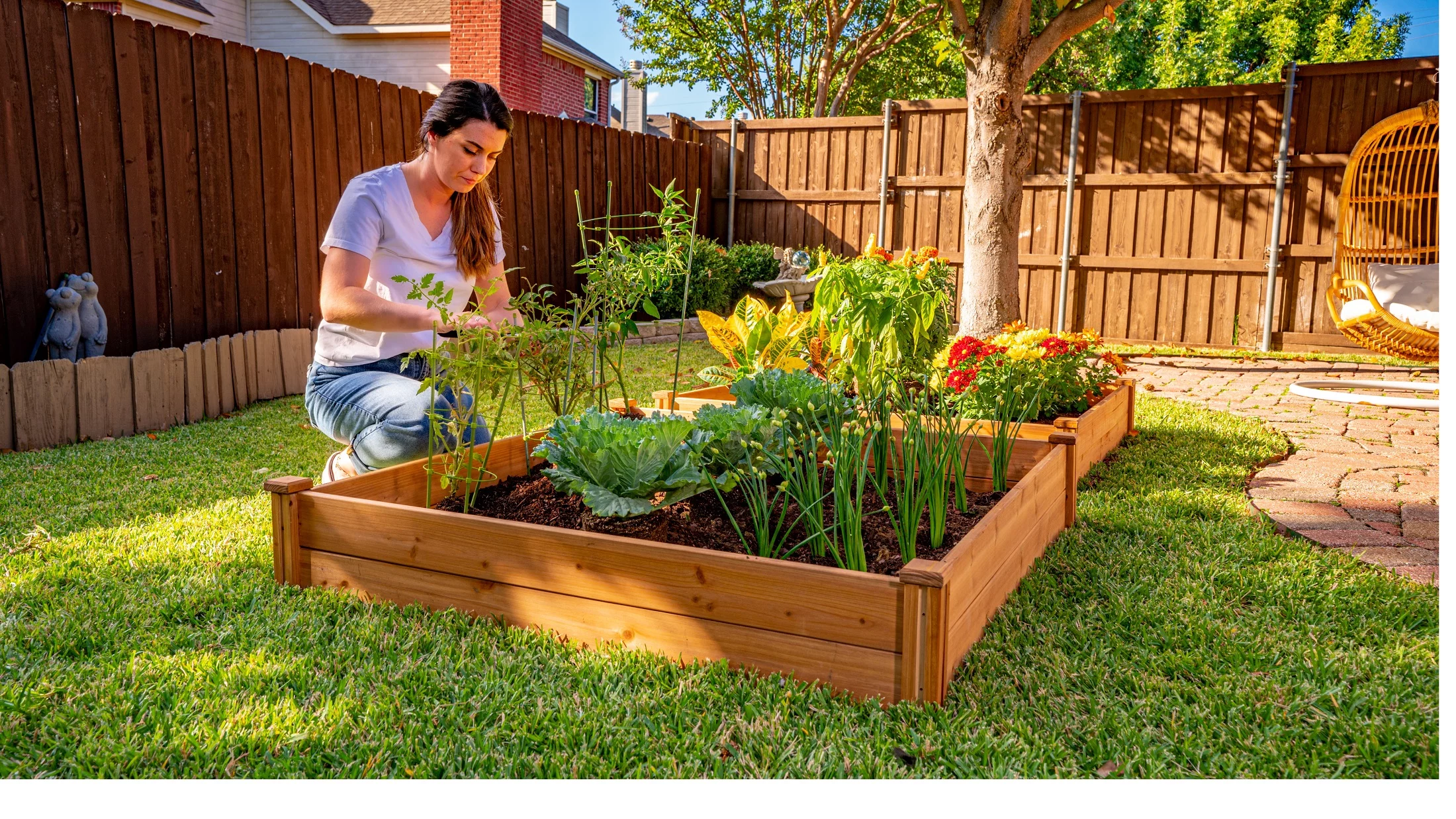 Timber Valley Dual Purpose 48