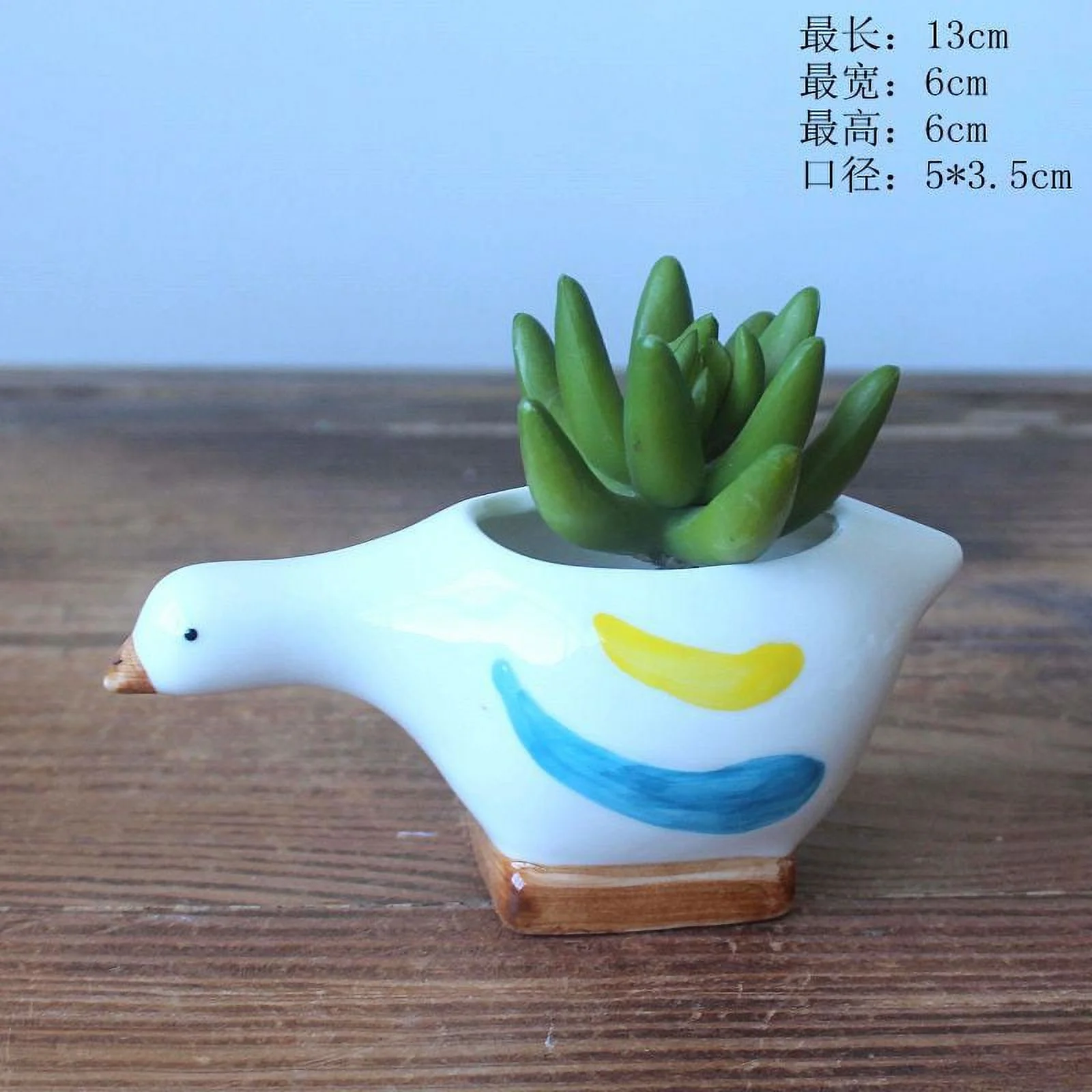 Hand-Painted Ceramic Chick Succulent Planter - Desktop Plant Pot
