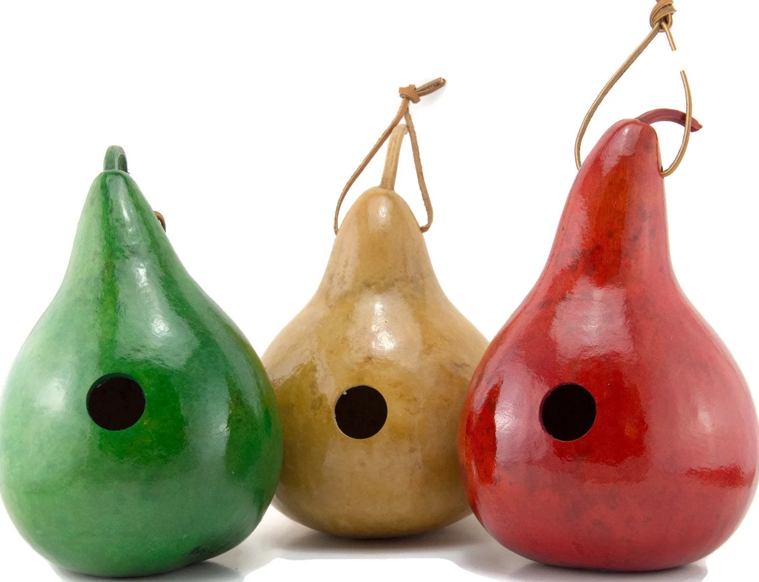 Birdhouse Gourds - Gourd Art - Set of 3 - Green - Natural - Red