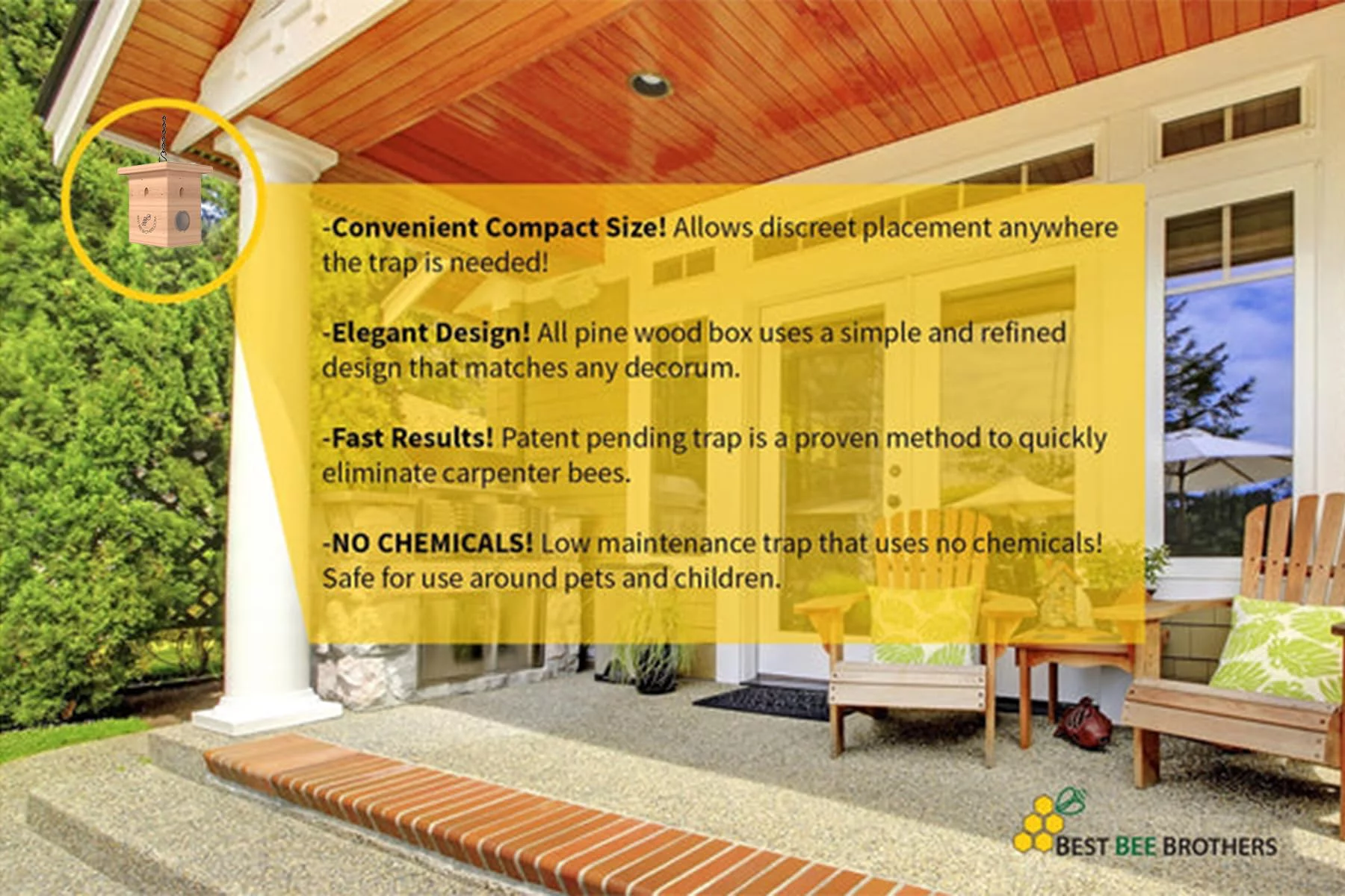 Pine Turbo Trap (6 Pack) for Catching Carpenter Bees by Best Bee Brothers