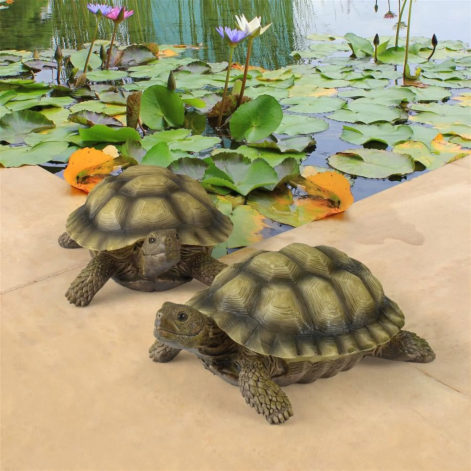 Design Toscano Gilbert, the Box Turtle Statues: Set of Two