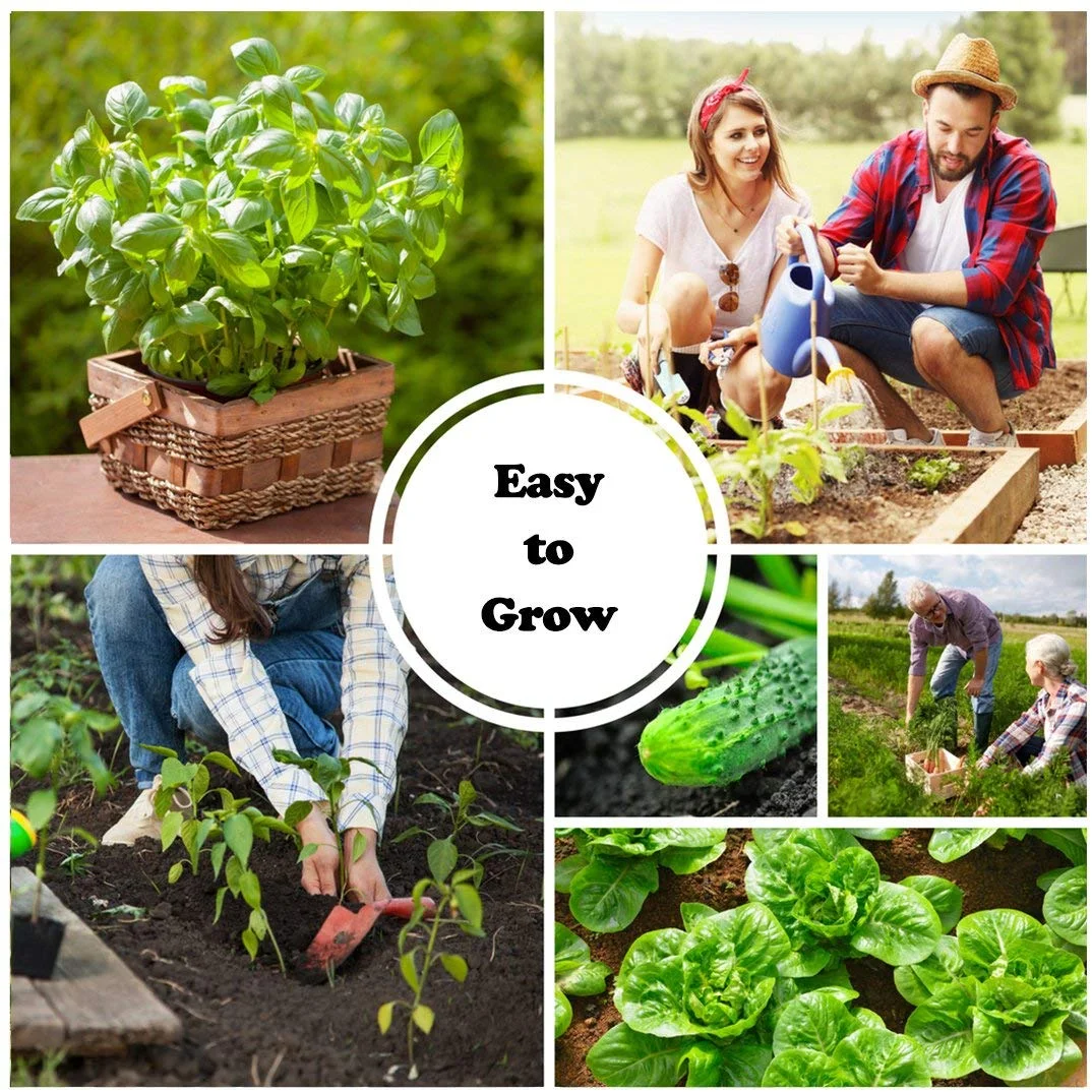 Sustainable Seed Instant Garden, Heirloom Vegetable, and Herb Seed Collection - 15 Varieties Non-GMO Heirloom Garden Vegetable Seeds (w/ Coco Coir Pellets)