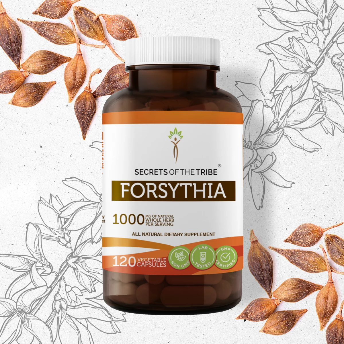 Secrets of the Tribe Forsythia 120 Capsules, 500 mg, Organic Forsythia (Lian Qiao, Forsythia Suspensa) Dried Fruit