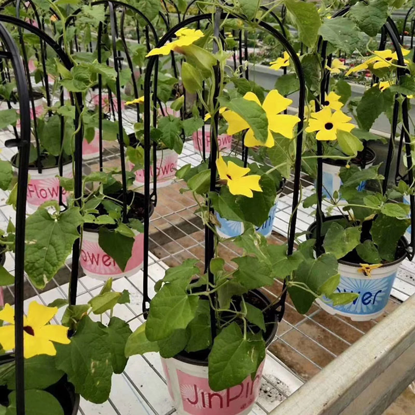 Huntermoon Plant Flower Stand Garden Trellis Waterproof Fencing Panels PP Black Trees Beans 6PCS Plastic Natural U-Hoops U-shaped