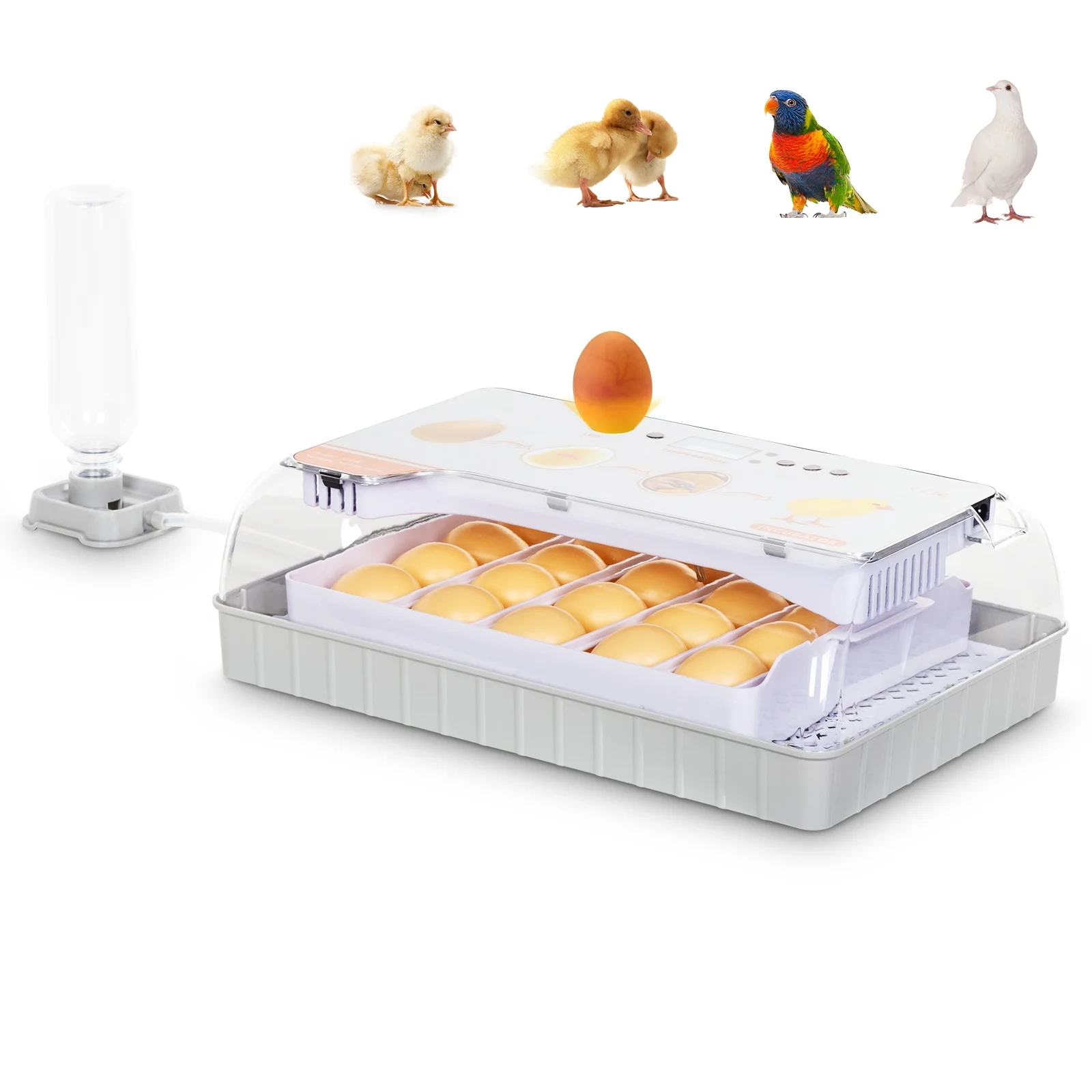 Automatic Egg Incubator, 9-20 Eggs with Temperature Display, Candler & Turner - Ideal for Hatching Chickens, Quail, Duck, Goose - Bottle Not Included