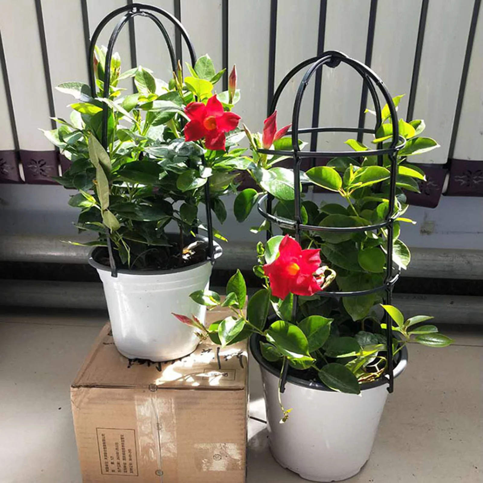 Huntermoon Plant Flower Stand Garden Trellis Waterproof Fencing Panels PP Black Trees Beans 6PCS Plastic Natural U-Hoops U-shaped