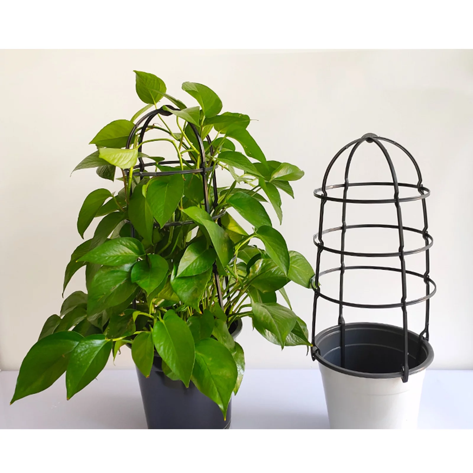 Huntermoon Plant Flower Stand Garden Trellis Waterproof Fencing Panels PP Black Trees Beans 6PCS Plastic Natural U-Hoops U-shaped