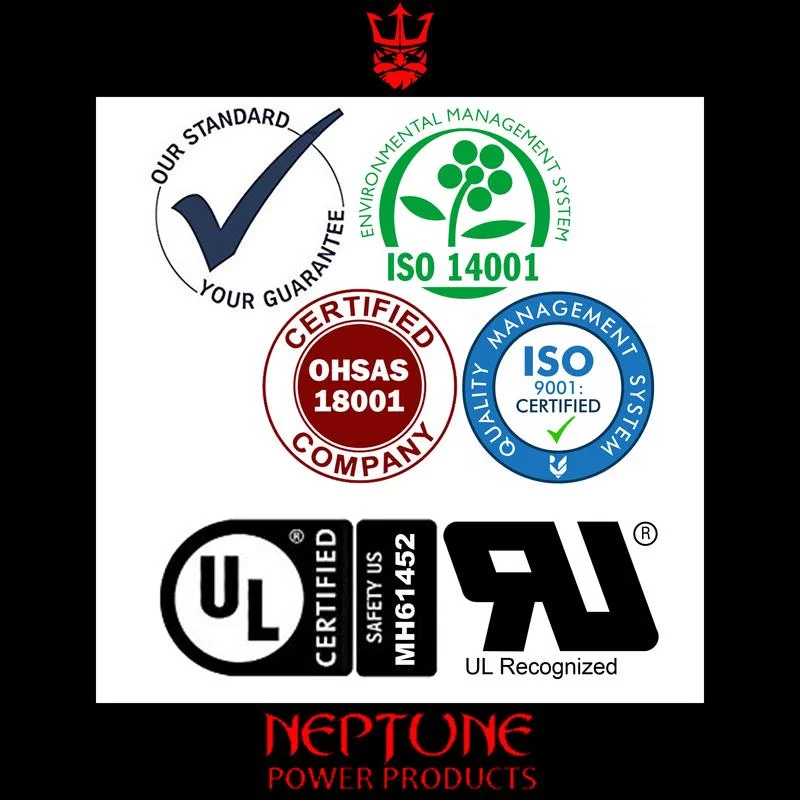 EV Rider Stand-N-Ride 12V 22Ah SLA Replacement Wheelchair Battery by Neptune - 2 pack