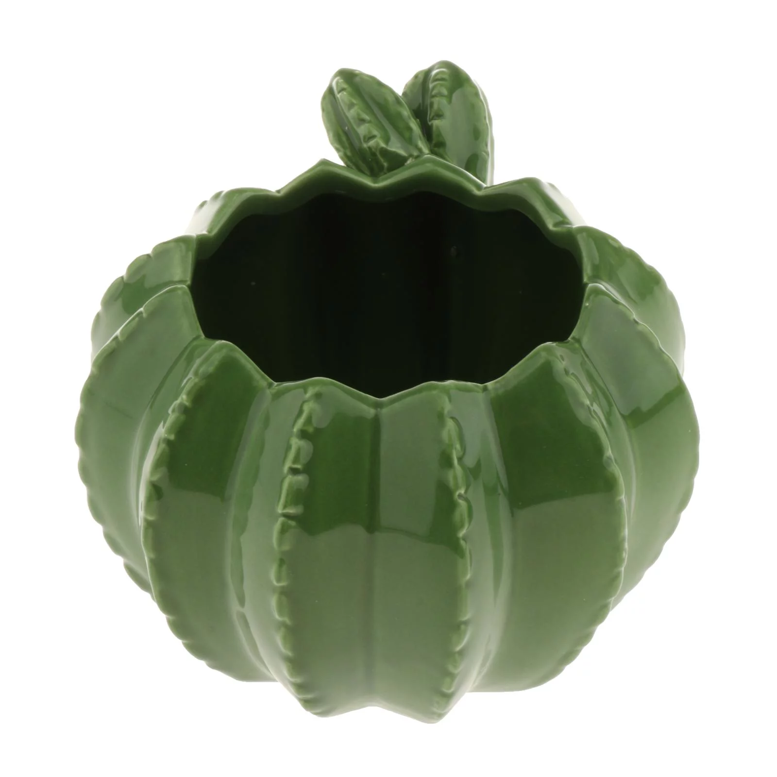 Ceramic Succulent Plant Pot/Cactus Plant Pot Flower Pot/Container/Planter