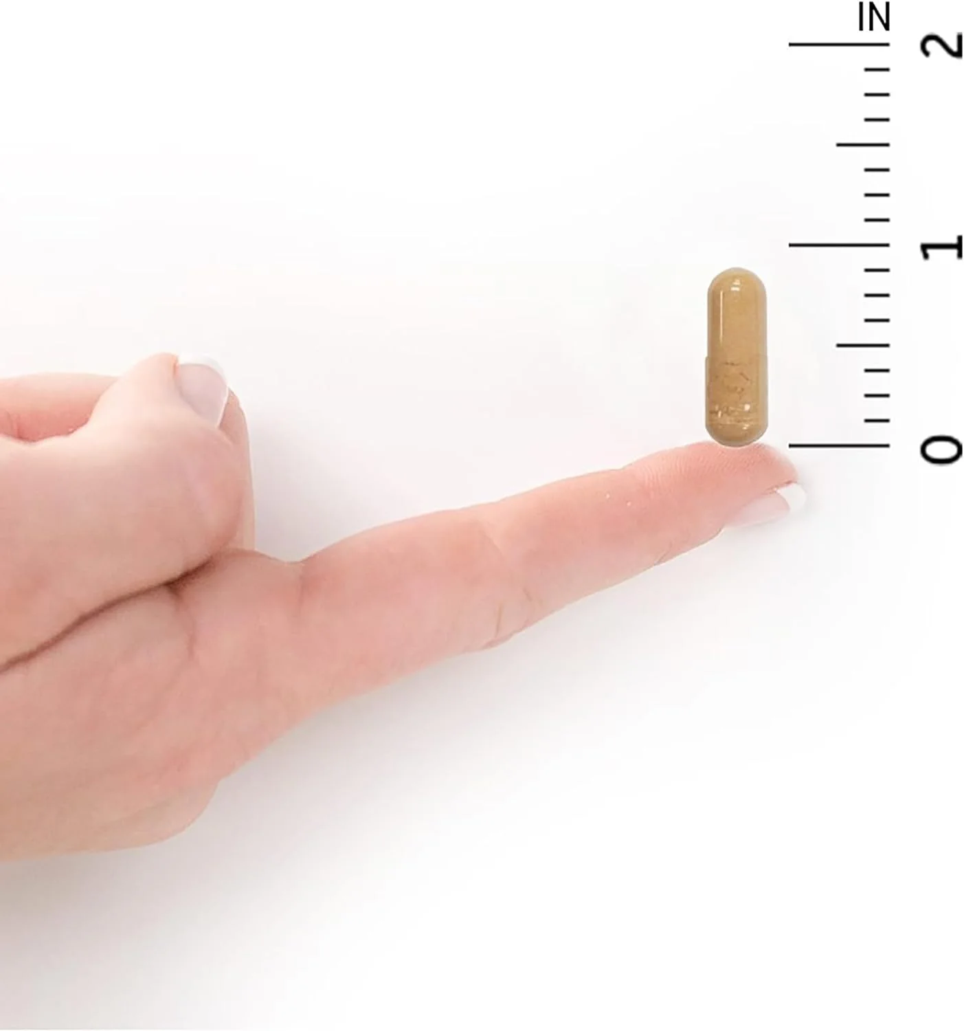 Garden of Life - RAW Probiotics Ultimate Care - 30 Vegetarian Capsules