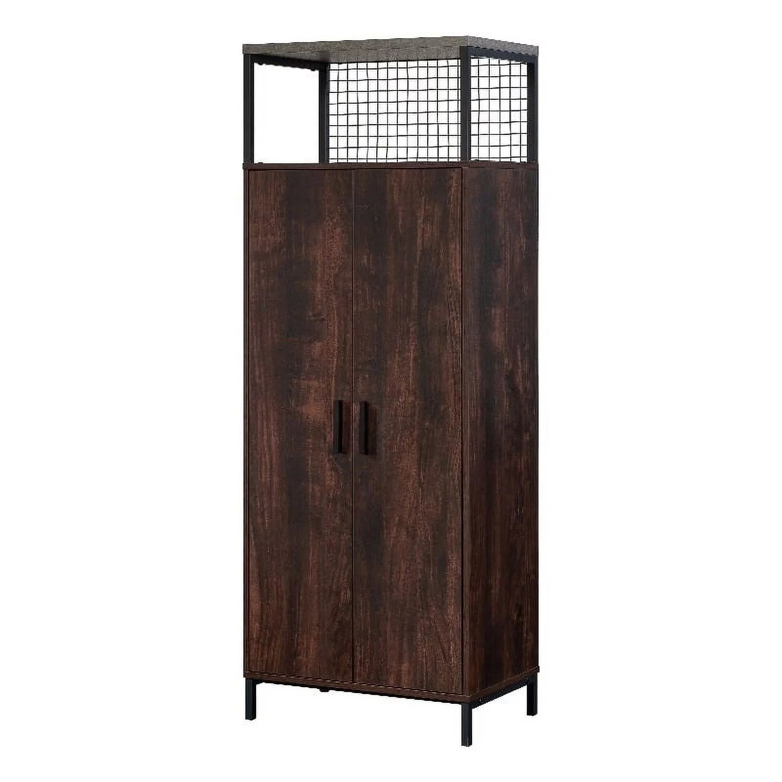 Pemberly Row Modern Engineered Wood Storage Cabinet in Rich Walnut