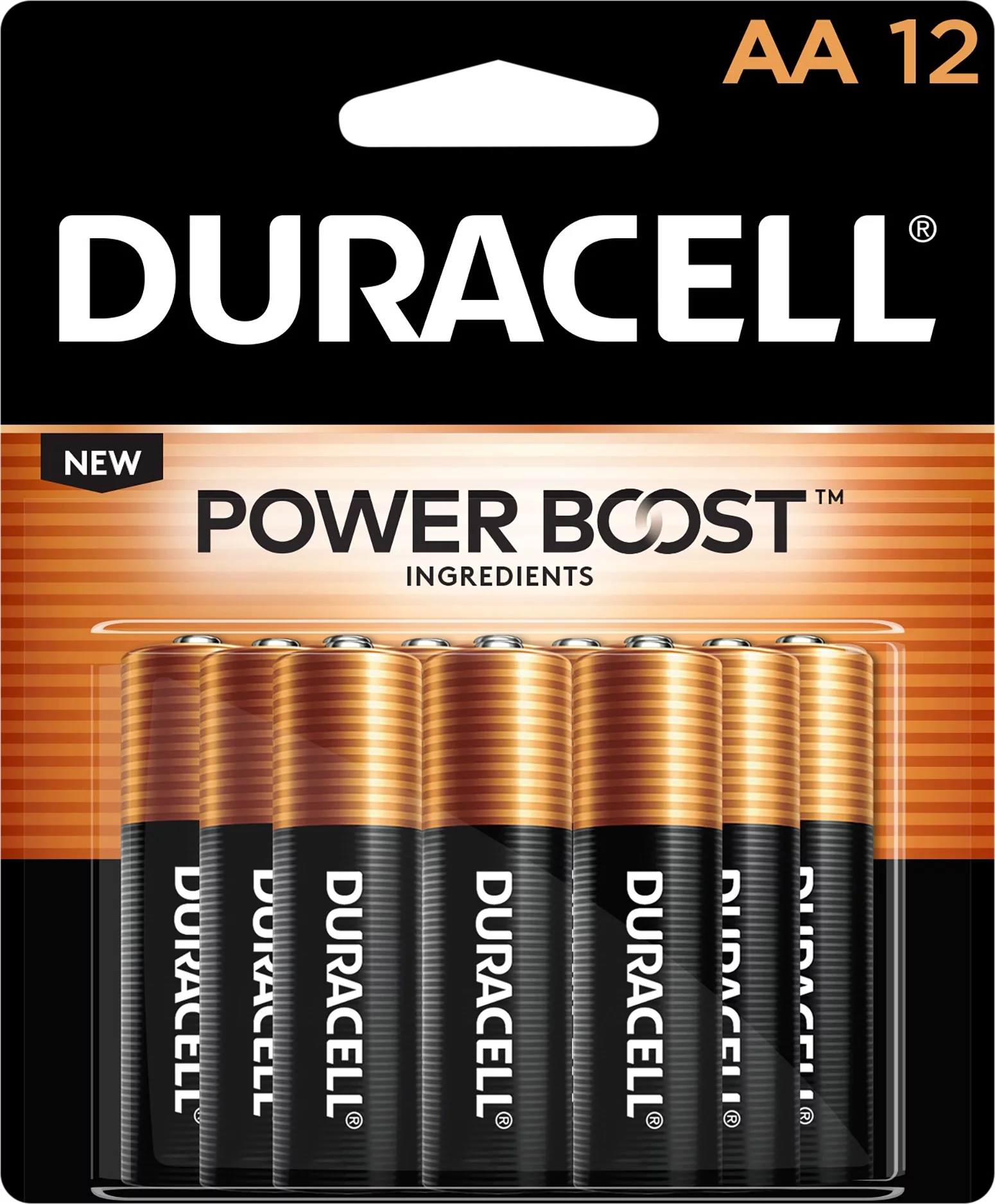 power Boost Coppertop Alkaline AA batteries 12/Pack MN15B12BCD