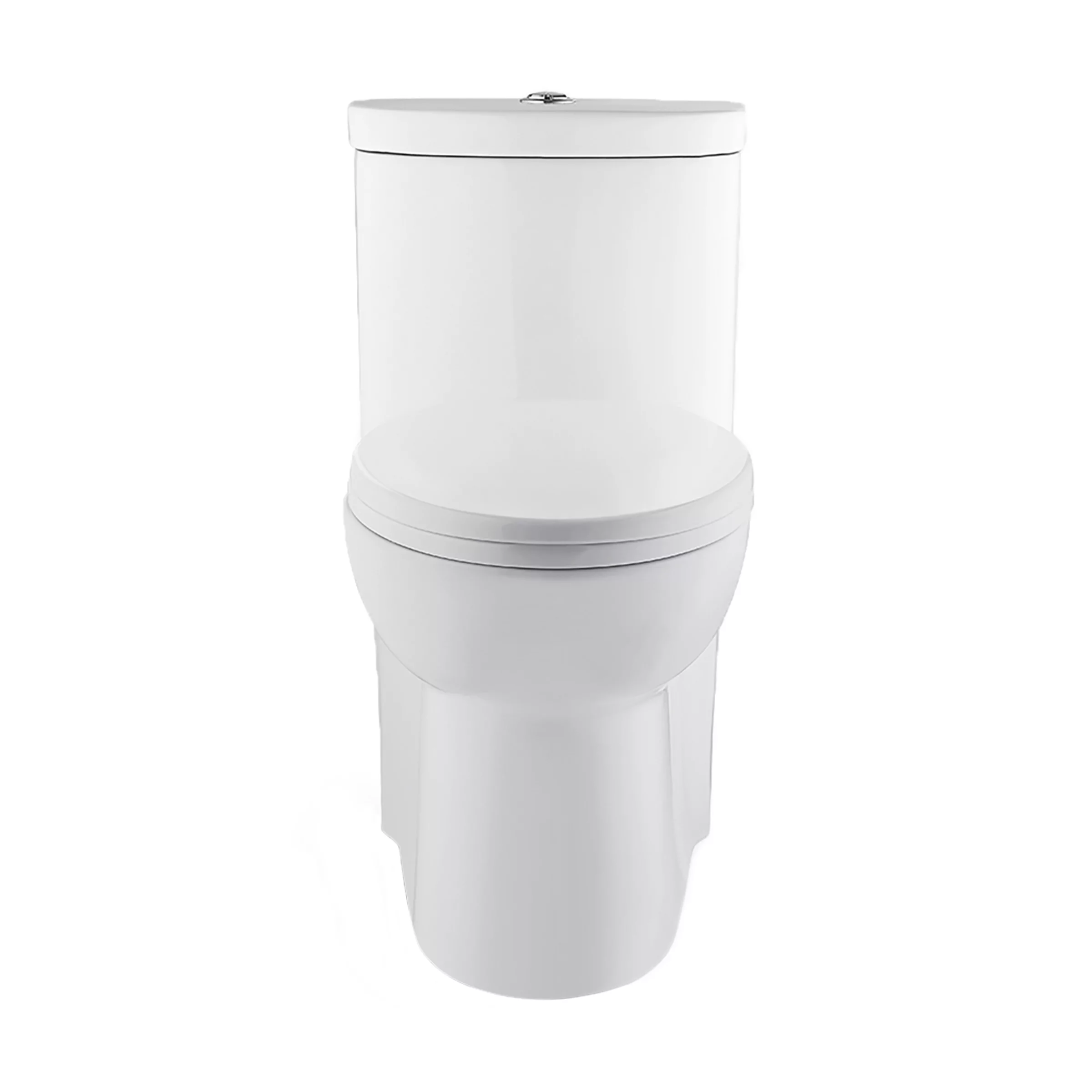 Besançon One Piece Elongated Toilet with Touchless Retrofit Dual Flush 1.1/1.6 gpf