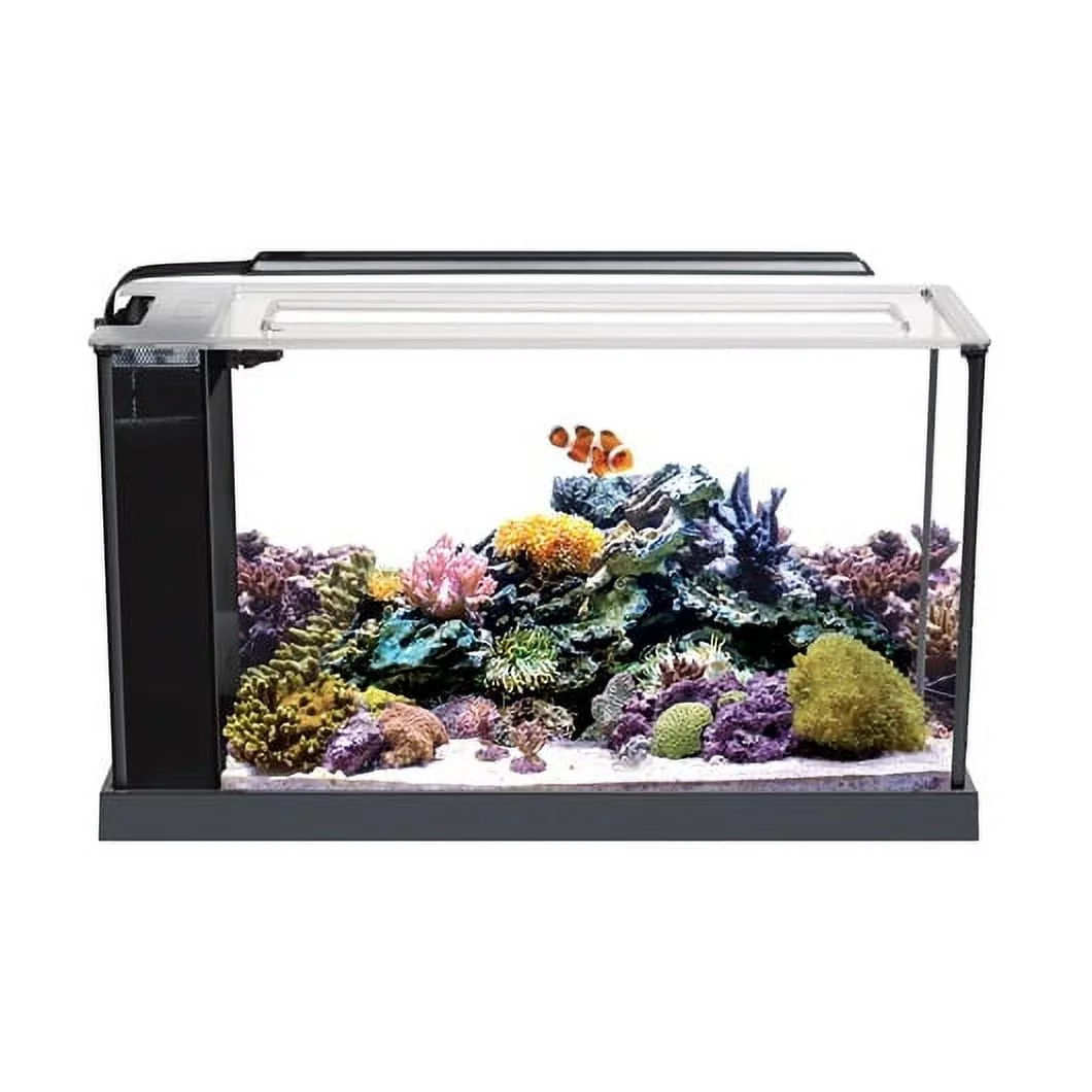 Fluval EVO V Saltwater Aquarium Kit, 5-Gallon