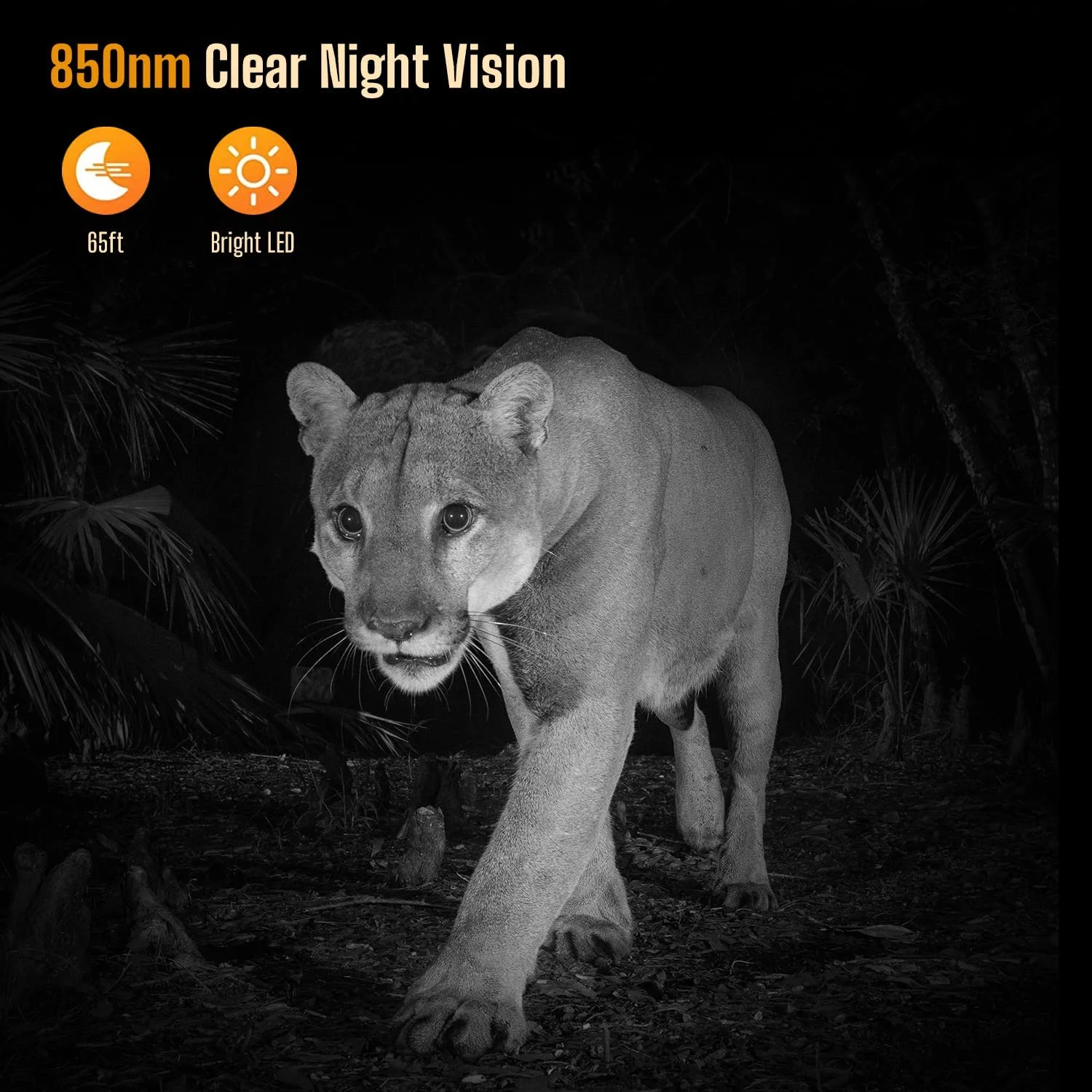 CAMPARK Trail Camera with SD Card and Batteries 24MP 1080P Game Hunting Camera with Night Vision Waterproof