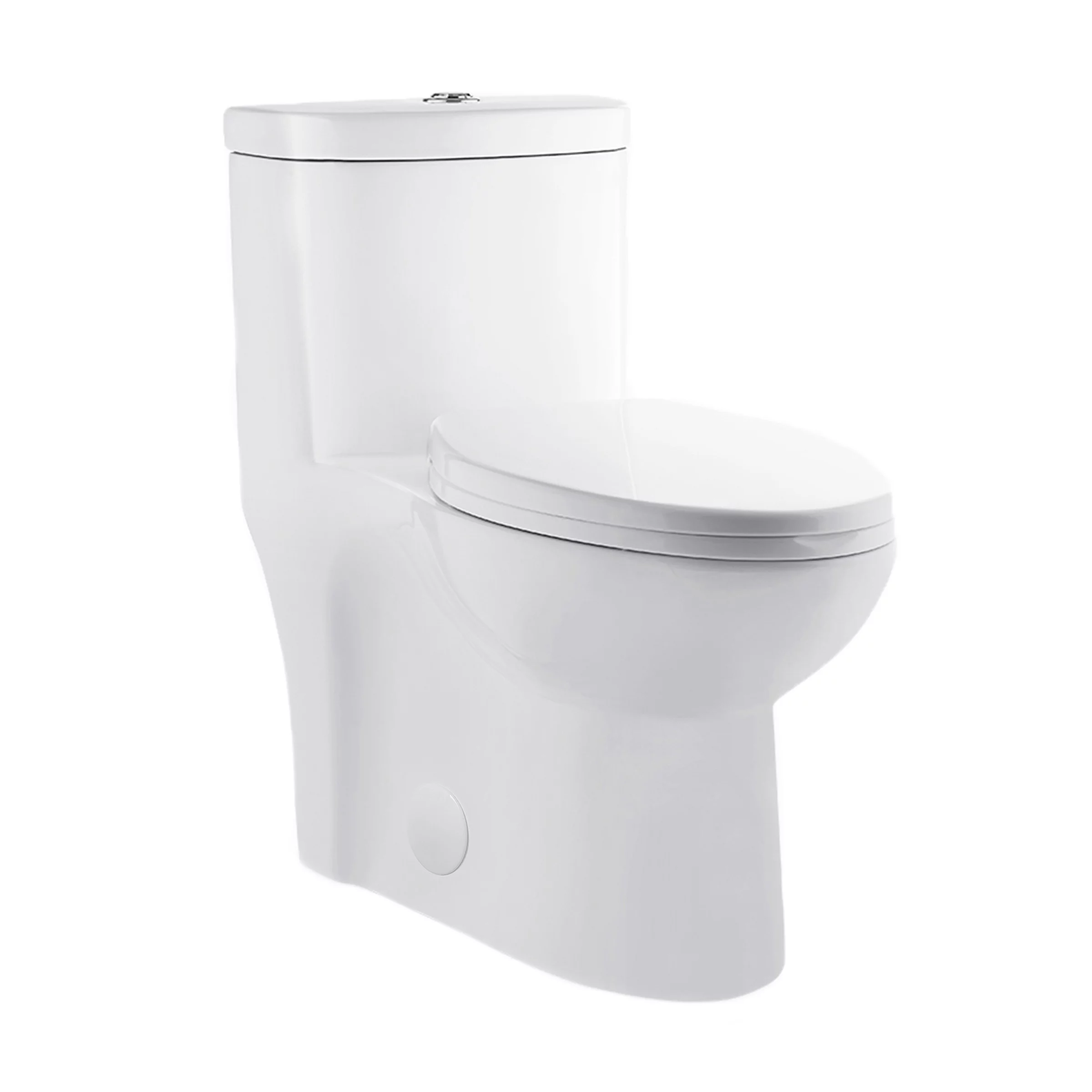 Besançon One Piece Elongated Toilet with Touchless Retrofit Dual Flush 1.1/1.6 gpf