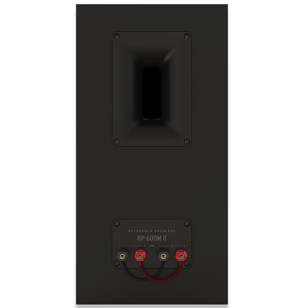 Klipsch 1070016 RP-600M II Bookshelf Speakers with Enhanced Tractrix Horn, Ebony (Pair) Bundle with Deco Gear 6 x 6 inch Microfiber Cleaning Cloth and 2 YR CPS Enhanced Protection Pack