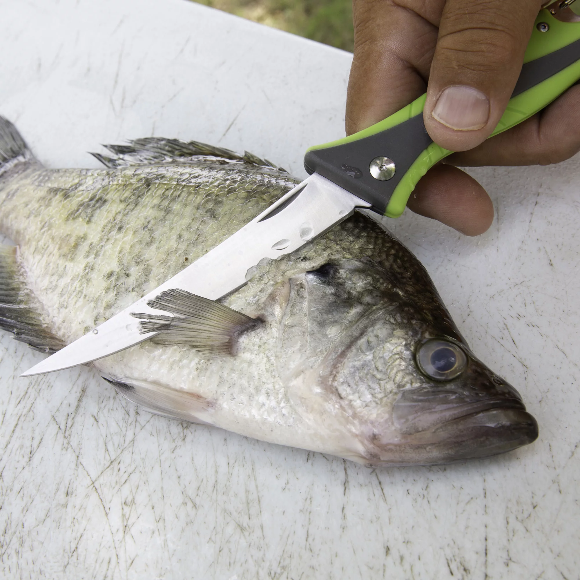 SMITH'S REGALRIVER 51383 4 IN FOLDING FLEX FILLET KNIFE GREEN