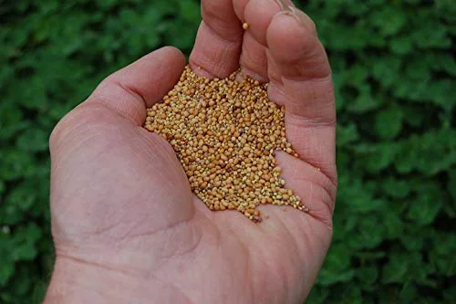 Tri-Clover by Eretz - Three Part Blend of Clovers Providing Beauty, Cover, and Natural Attractant. No Coatings or Fillers, Premium Seeds (1lb)