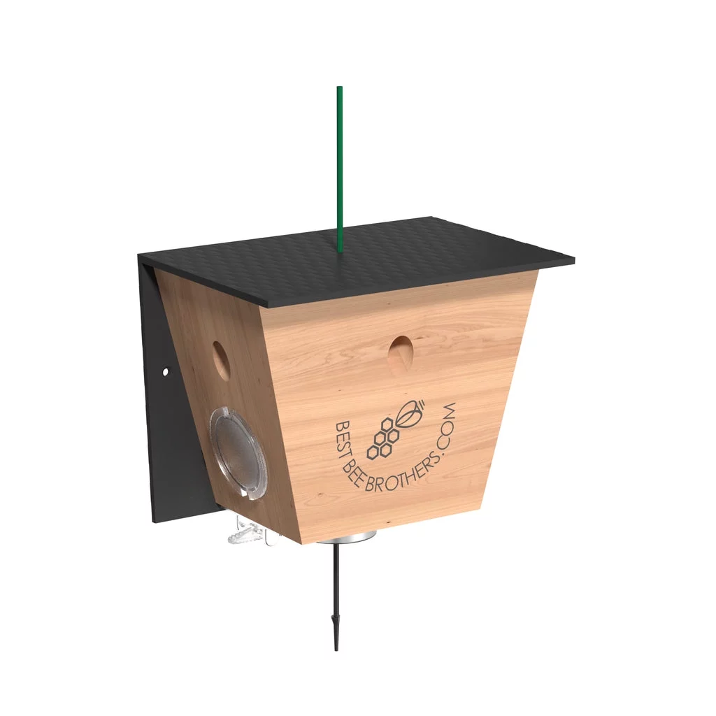 Best Bee Brothers Carpenter Bee Turbo Trap 2.0 with Bee Vault 2 pack and Designer Black Roof