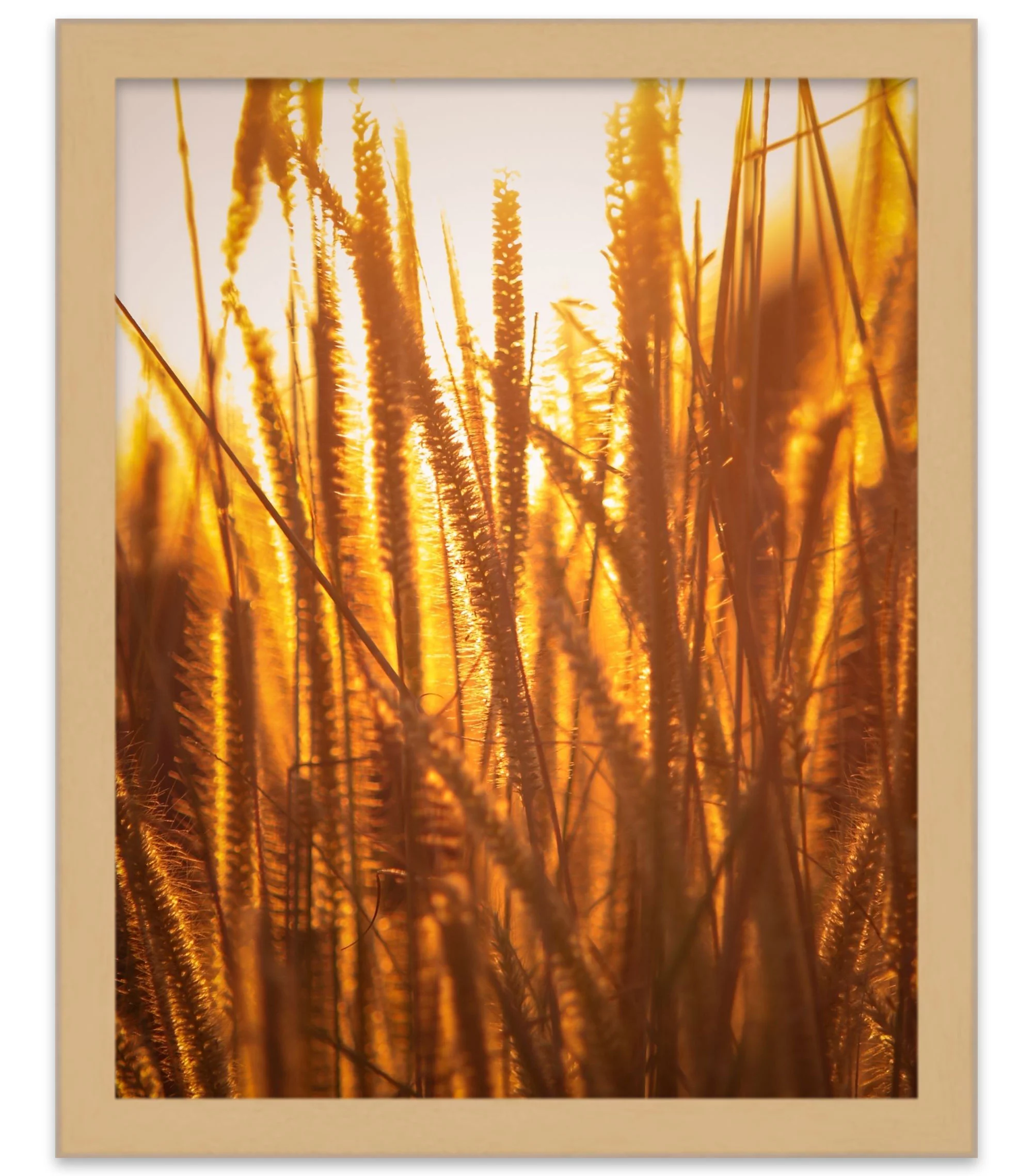14x24 - 14 x 24 Natural Oak Flat Solid Wood Frame with UV Framer's Acrylic & Foam Board Backing -