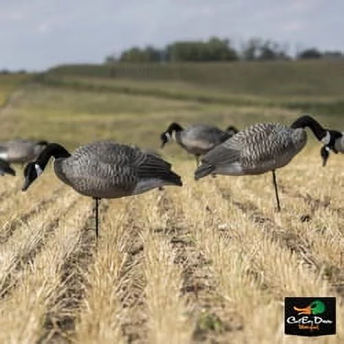 LUCKY DUCKY DECEPTION SERIES COLLAPSIBLE FULL BODY CANADA GOOSE DECOYS