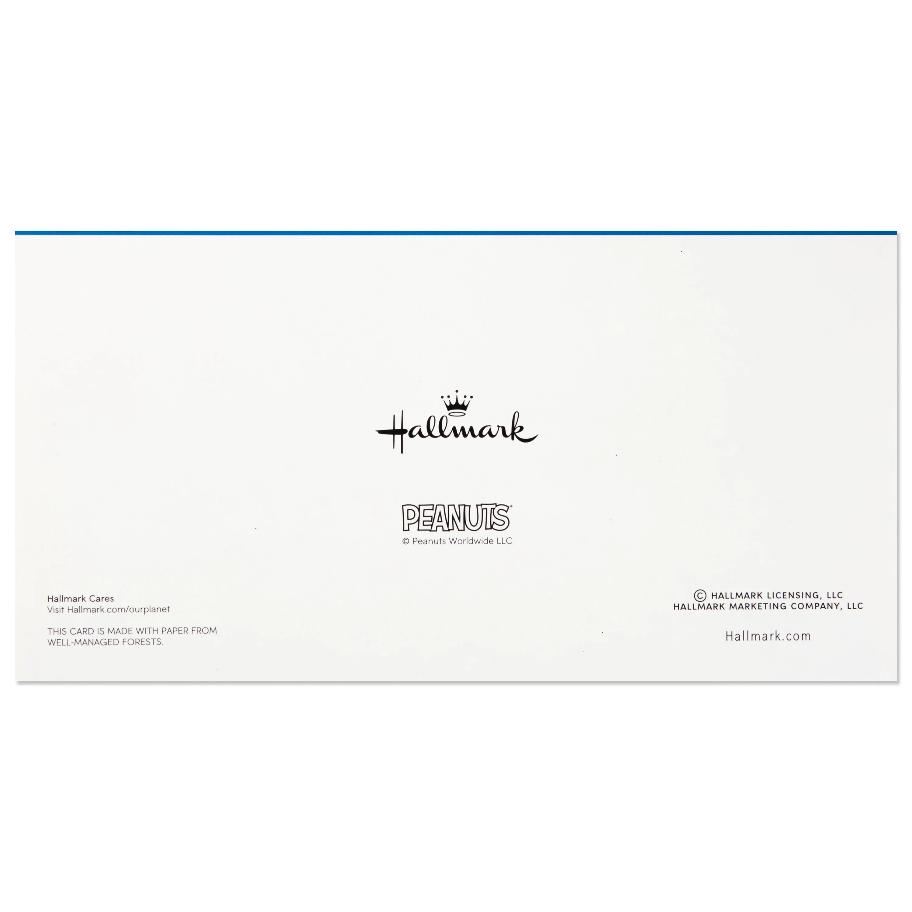 Hallmark Christmas Boxed Cards, Peanuts Gang (16 Cards and 17 Envelopes)