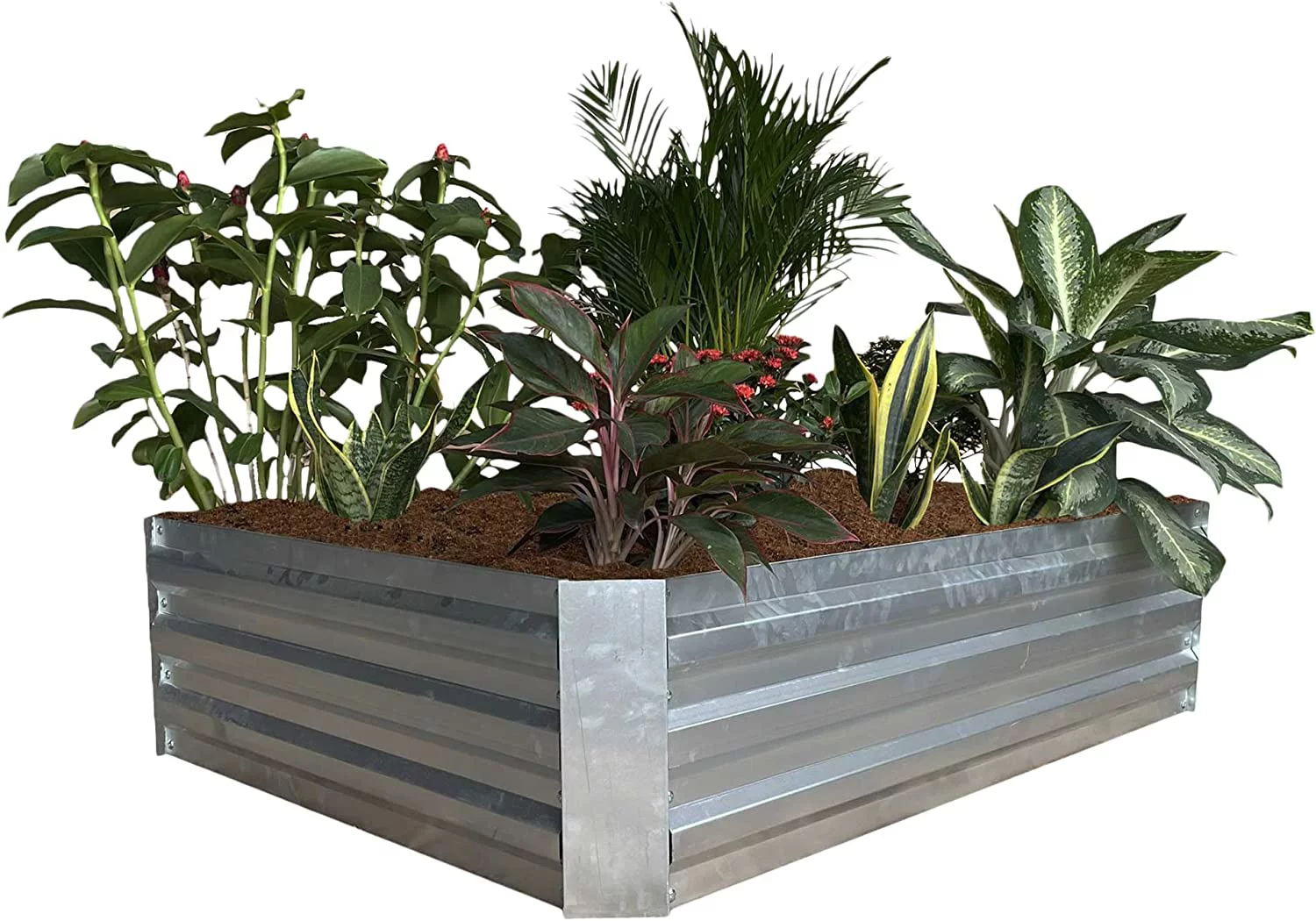 Grapevine PL10153 6A Galvanized Steel Raised Garden Bed, Square