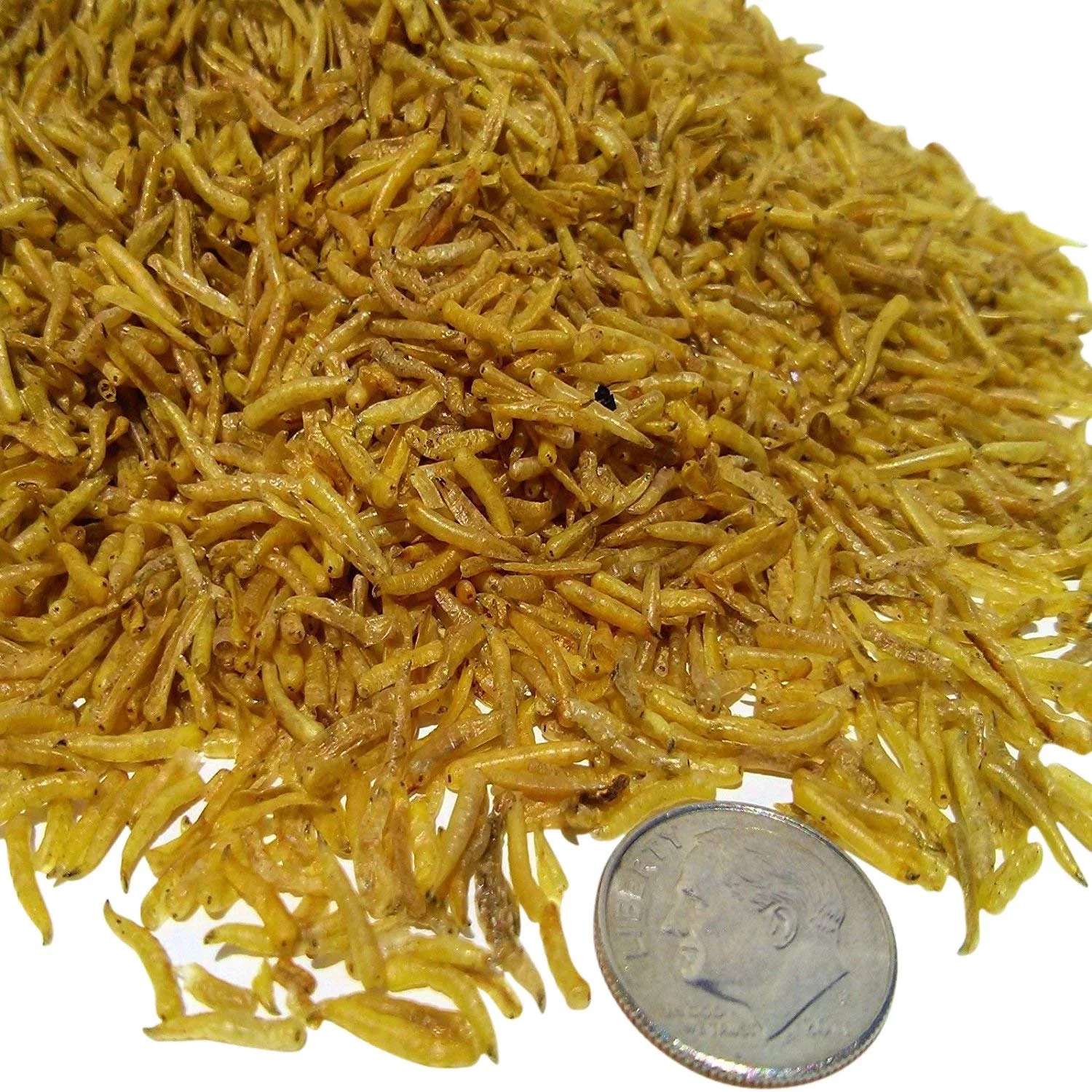 Aquatic Foods Freeze Dried White Worms - Great for smaller Tropicals, Marines, Aquatic & Land Turtles - 4-lbs