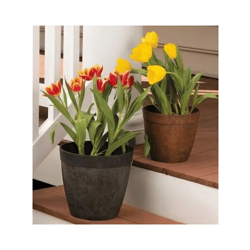Novelty 03102.05 ArtStone Dolce Water-Minder Planter, Plastic, Rust, 10 In. Round - Quantity 5