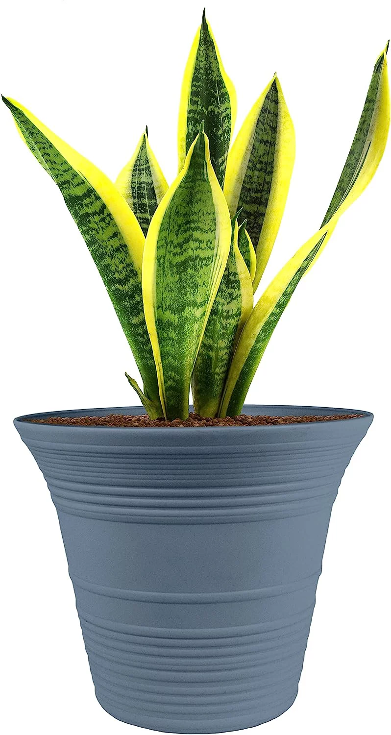 The HC Companies SEA16001DE2 Sedona Planter, 16