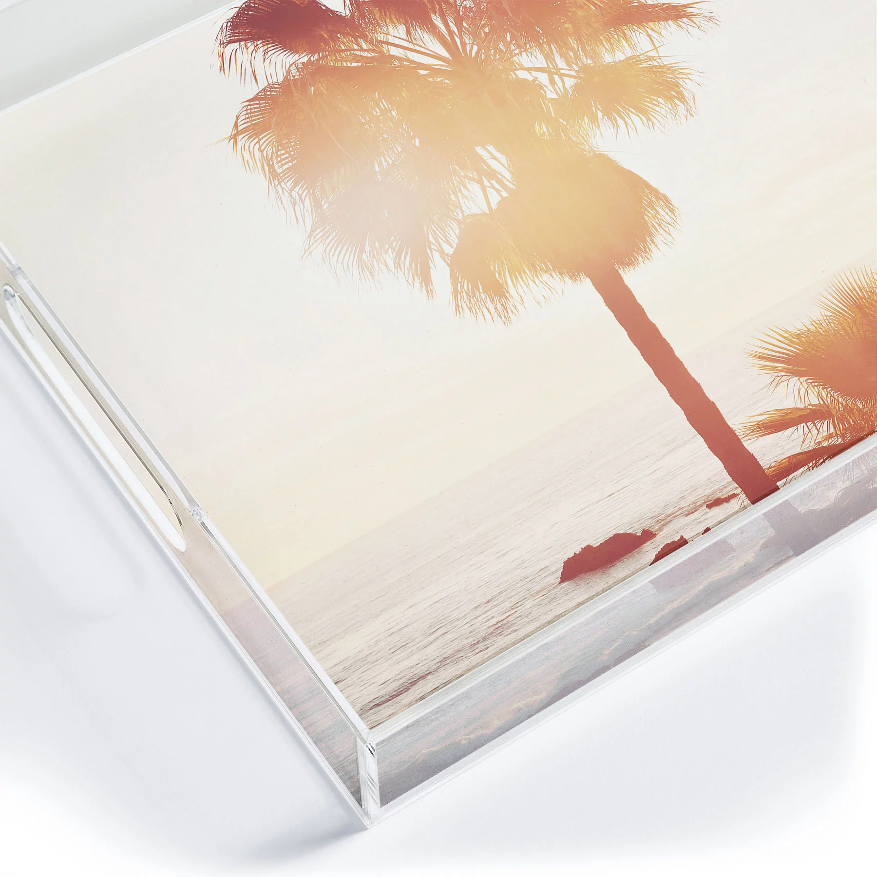 Society6 Bree Madden Sunray Palms Medium Acrylic Tray