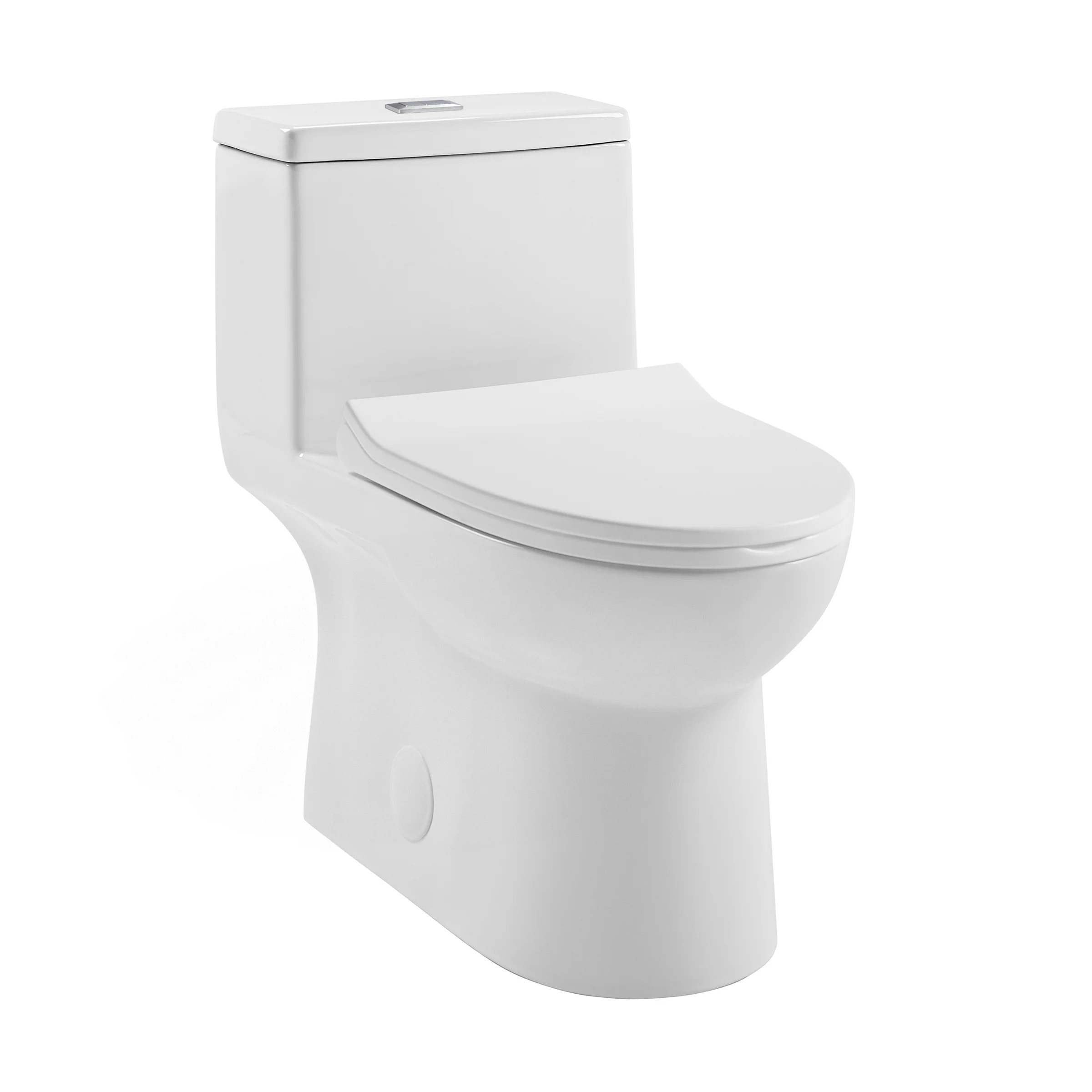 Champs One-Piece Elongated Dual-Flush Toilet 1.1/1.6 gpf